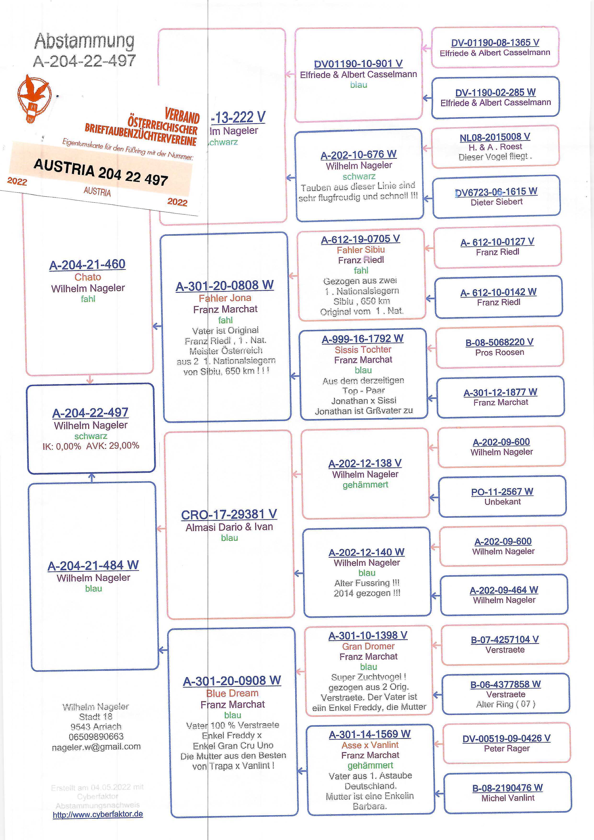 Pigeon pedigree image