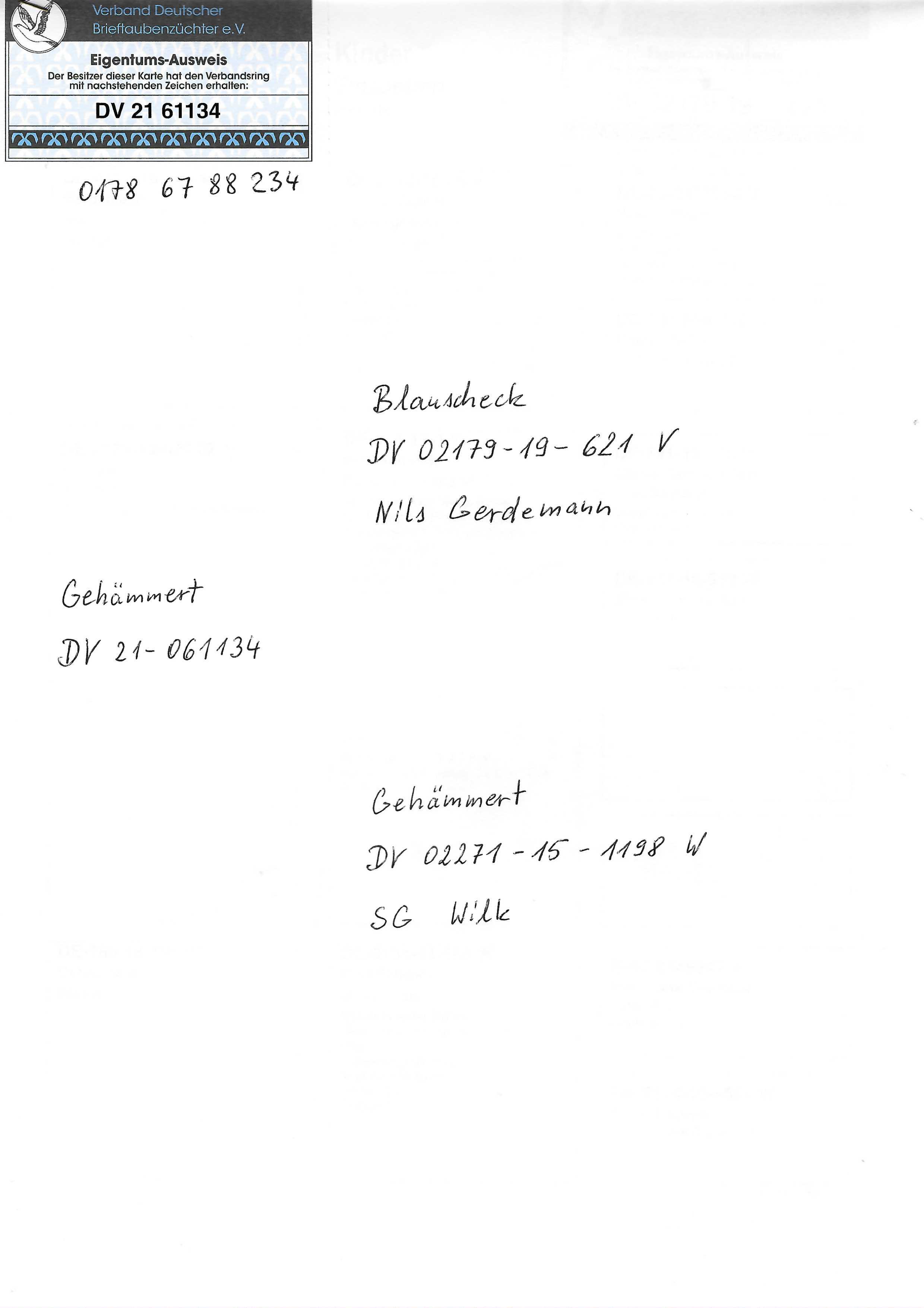 Pigeon pedigree image