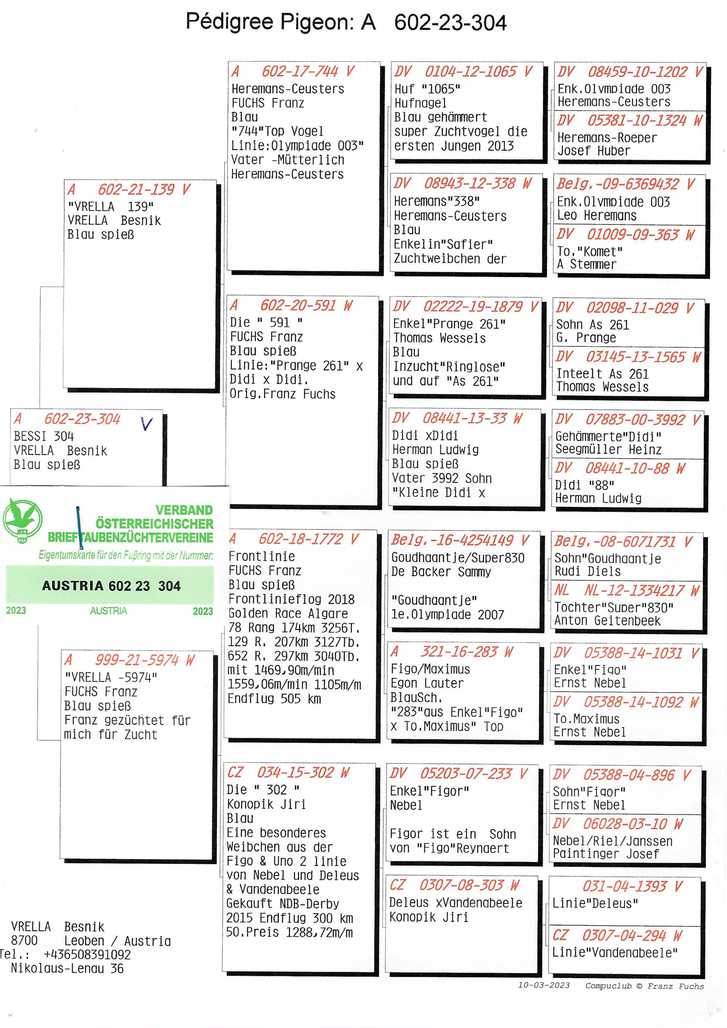 Pigeon pedigree image