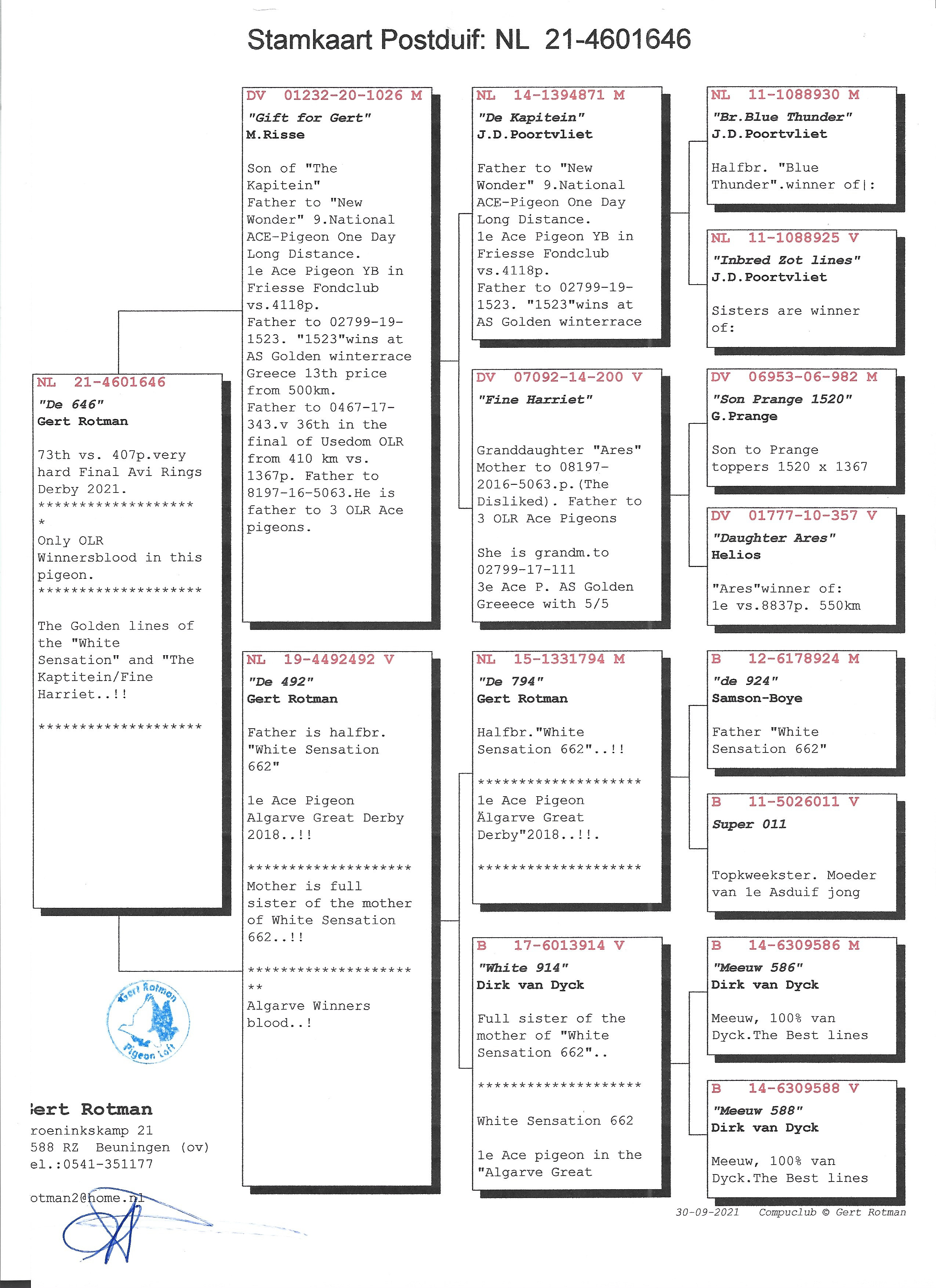 Pigeon pedigree image