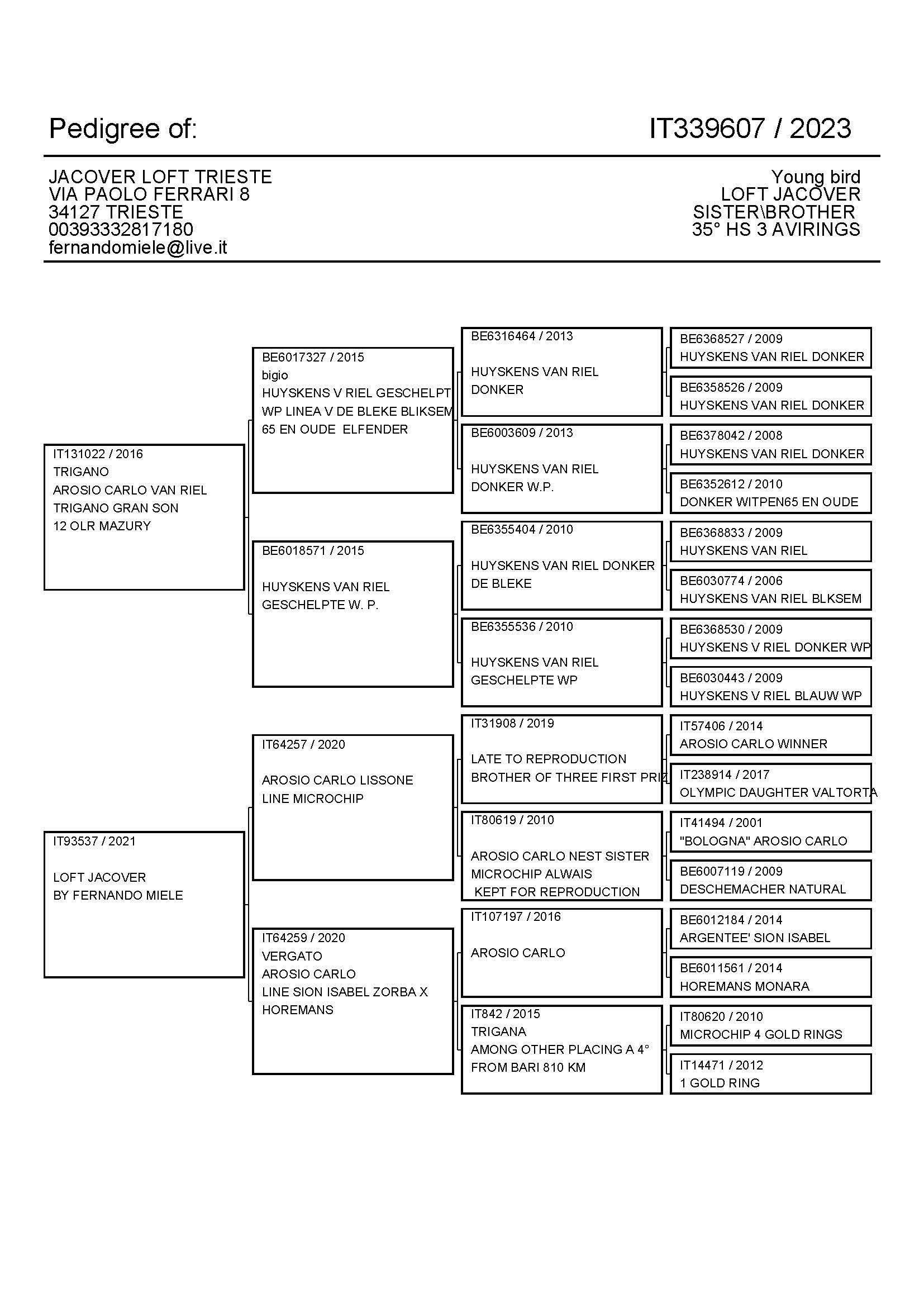 Pigeon pedigree image
