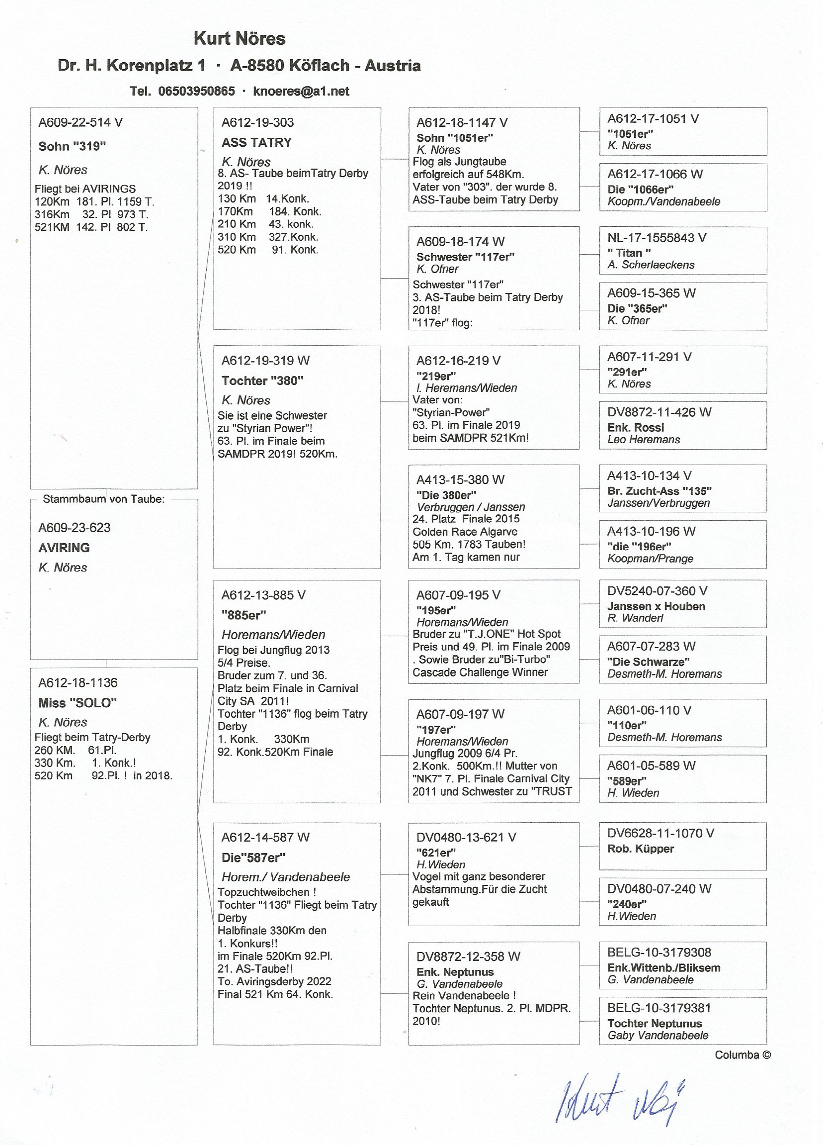 Pigeon pedigree image