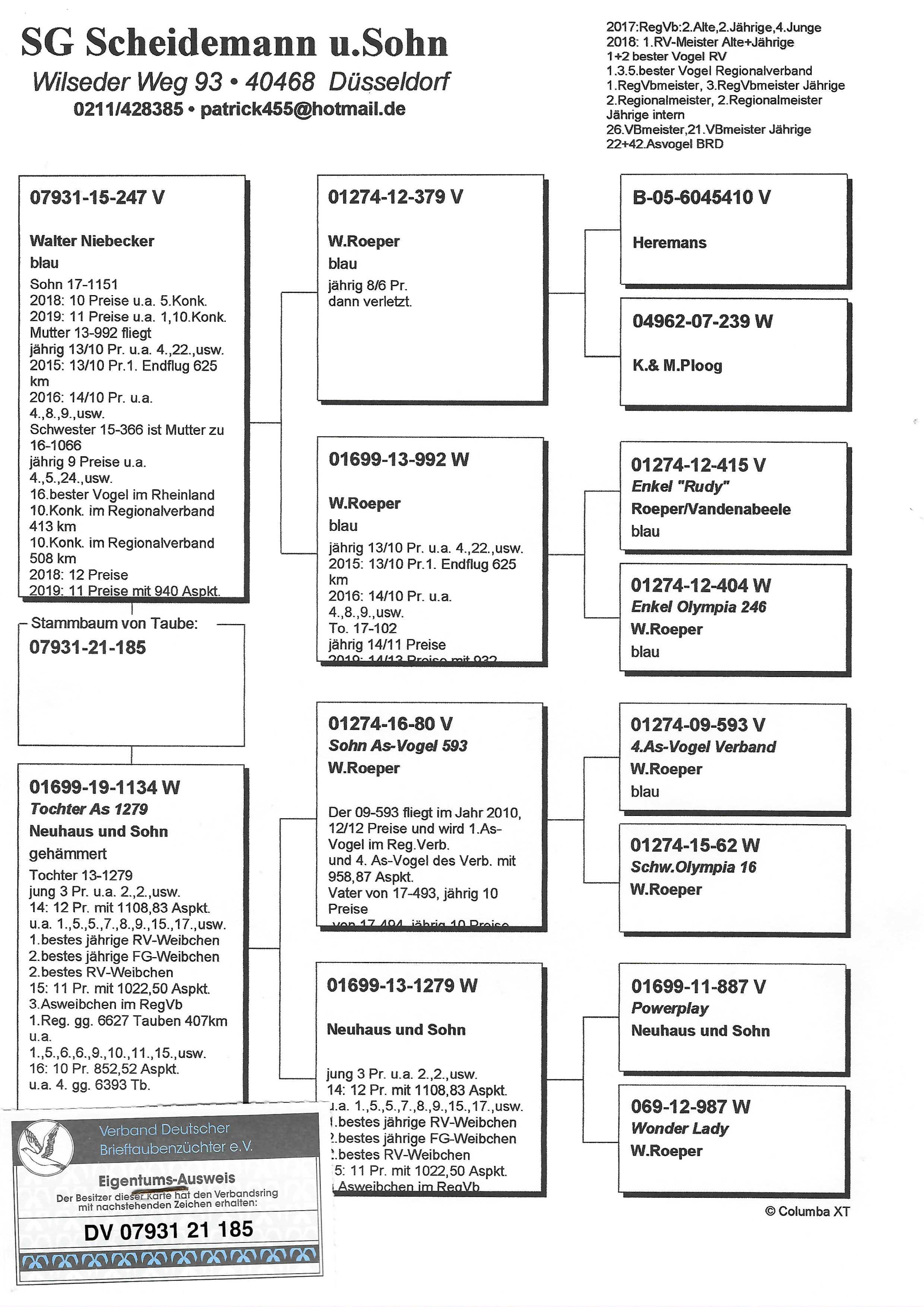 Pigeon pedigree image