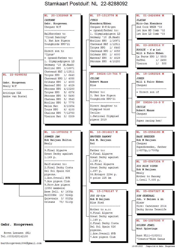 Pigeon pedigree image