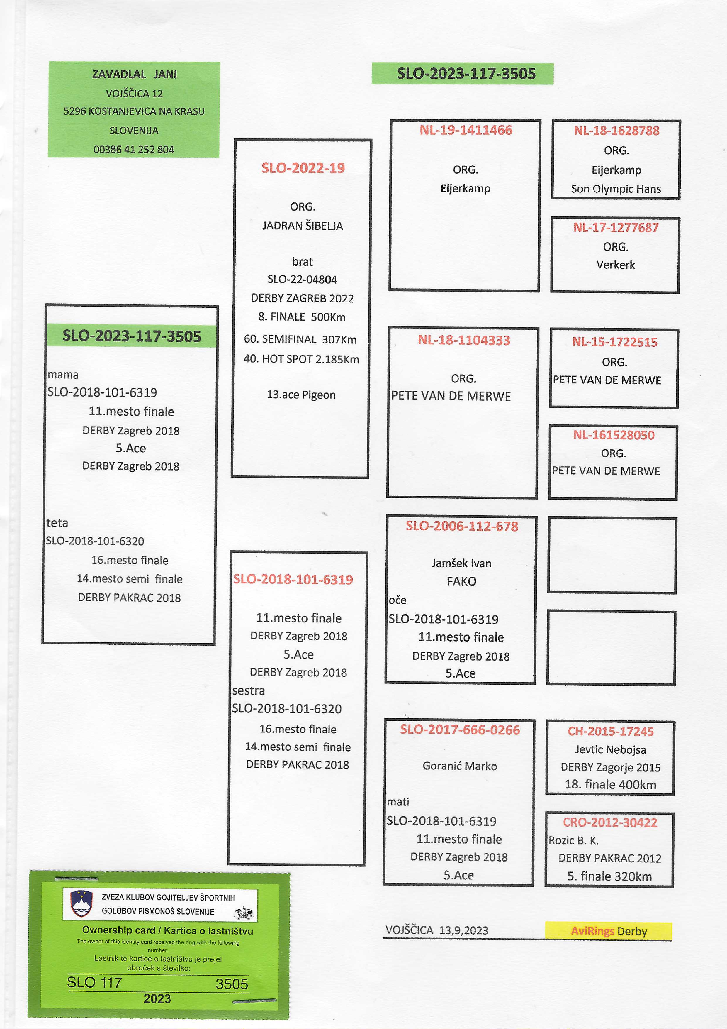 Pigeon pedigree image