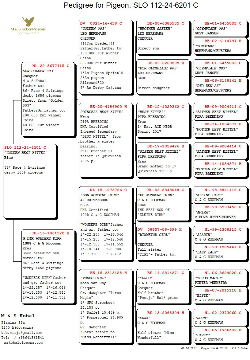 Pigeon pedigree image