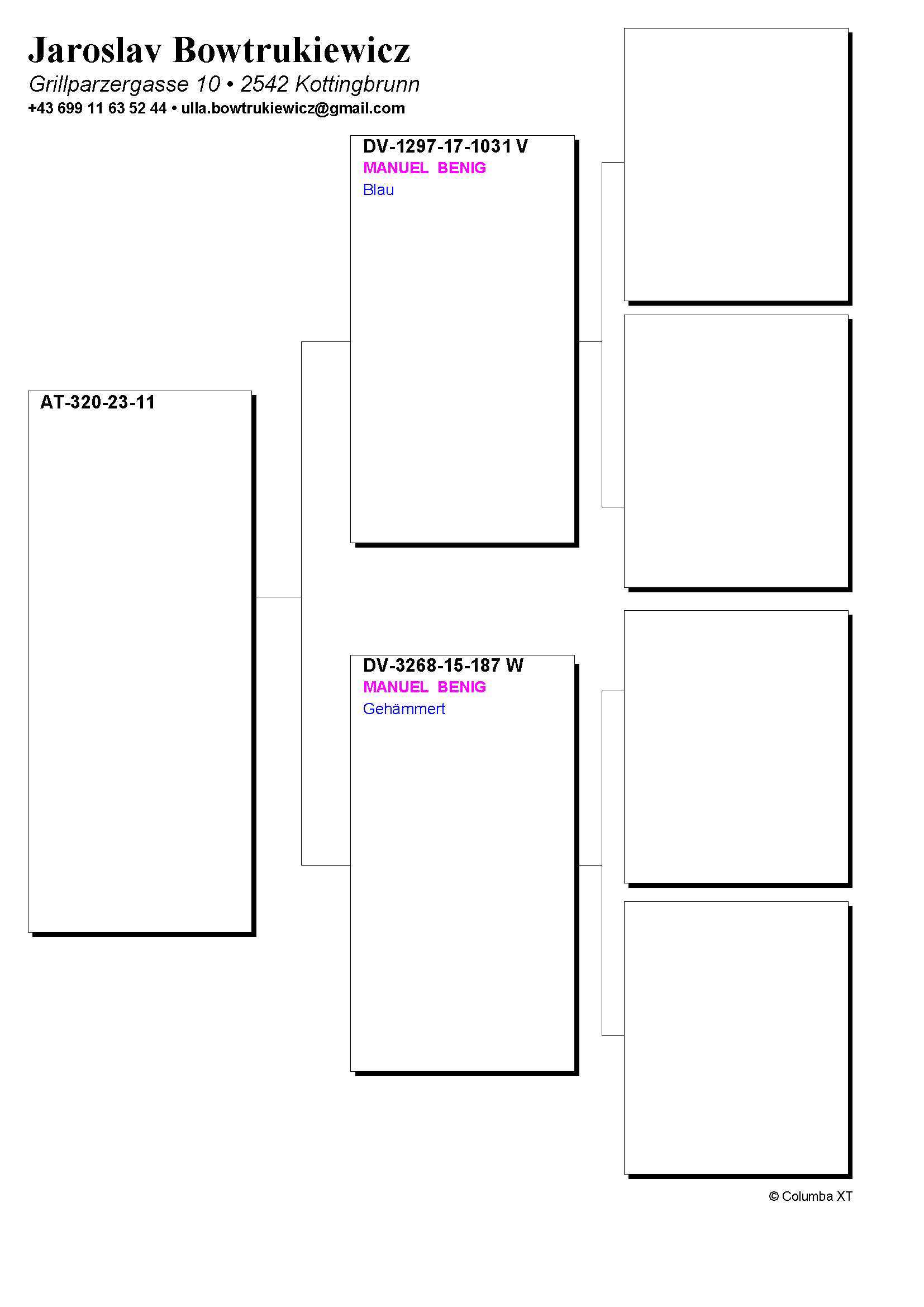 Pigeon pedigree image