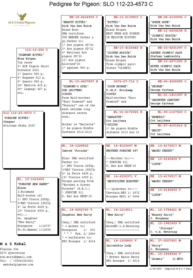 Pigeon pedigree image