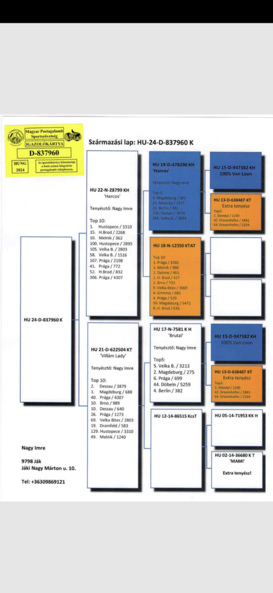 Pigeon pedigree image