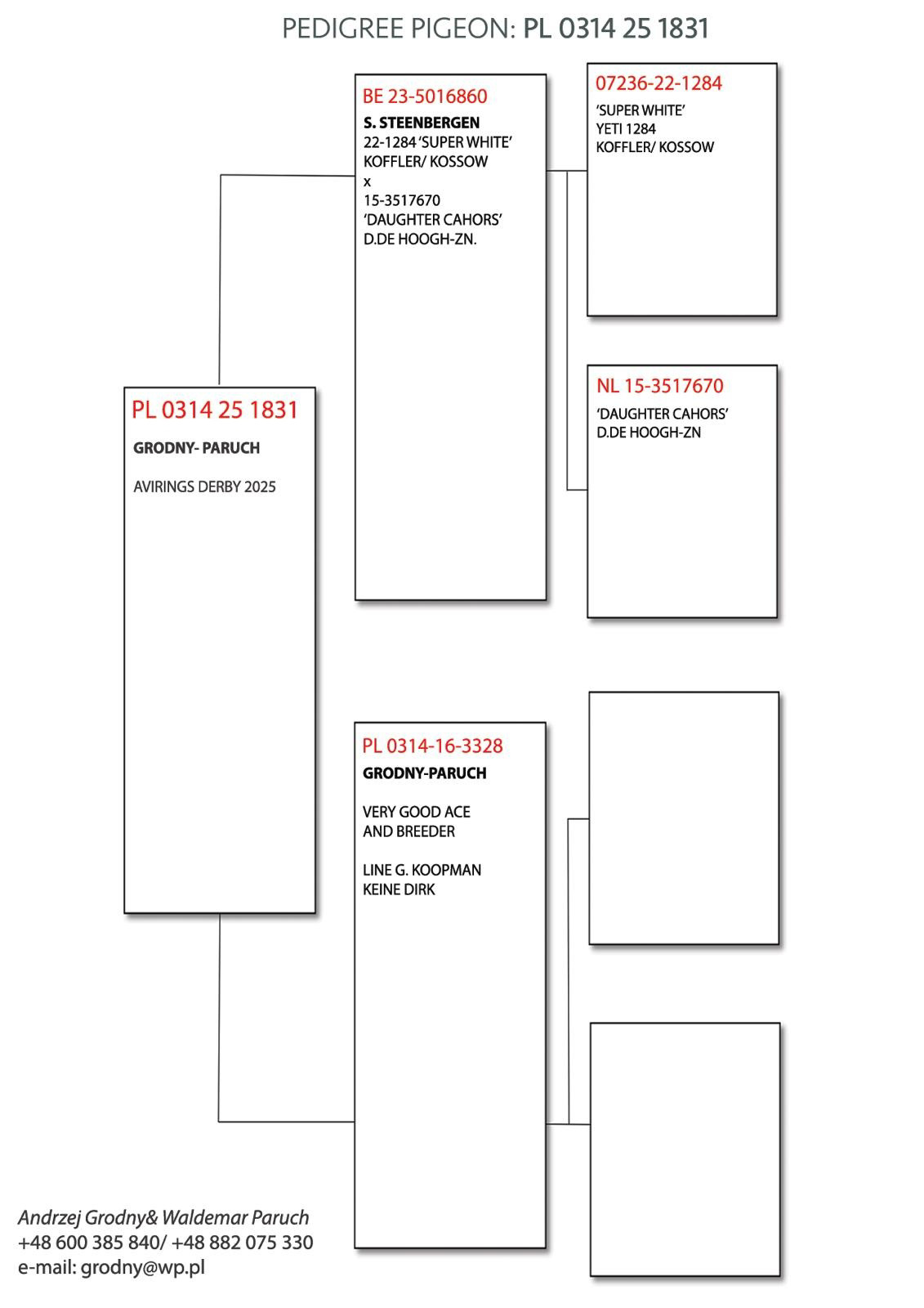 Pigeon pedigree image