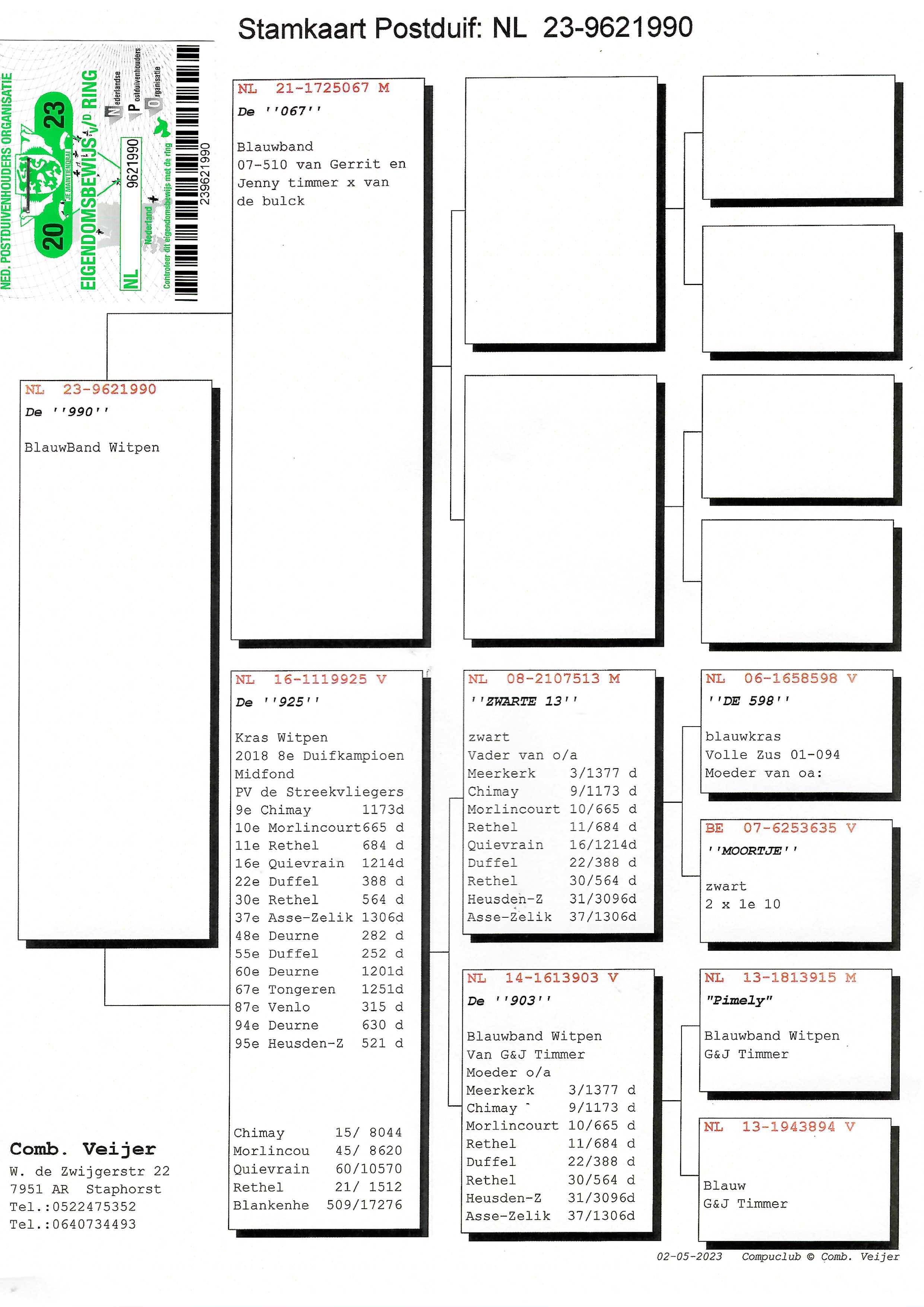Pigeon pedigree image