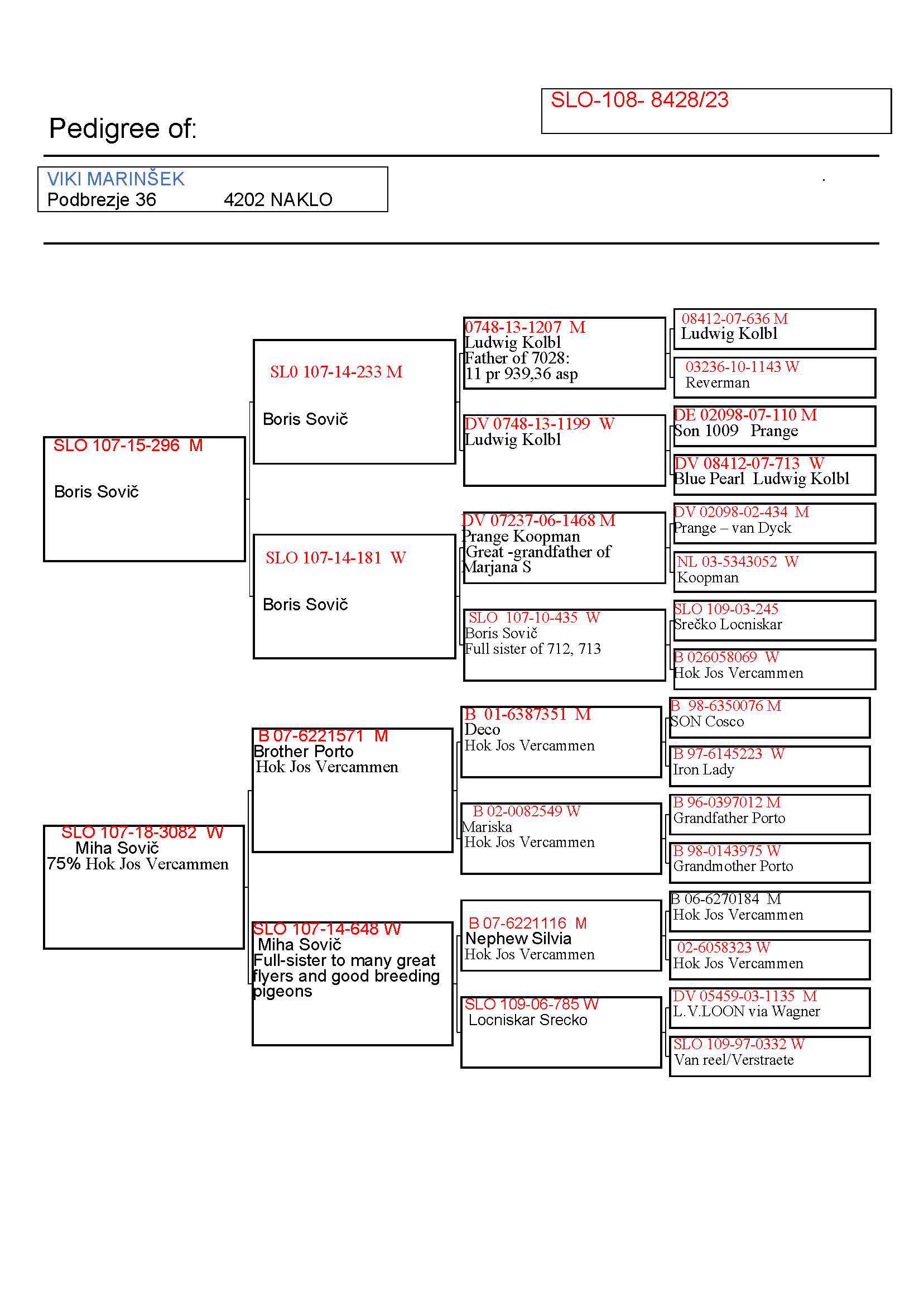 Pigeon pedigree image