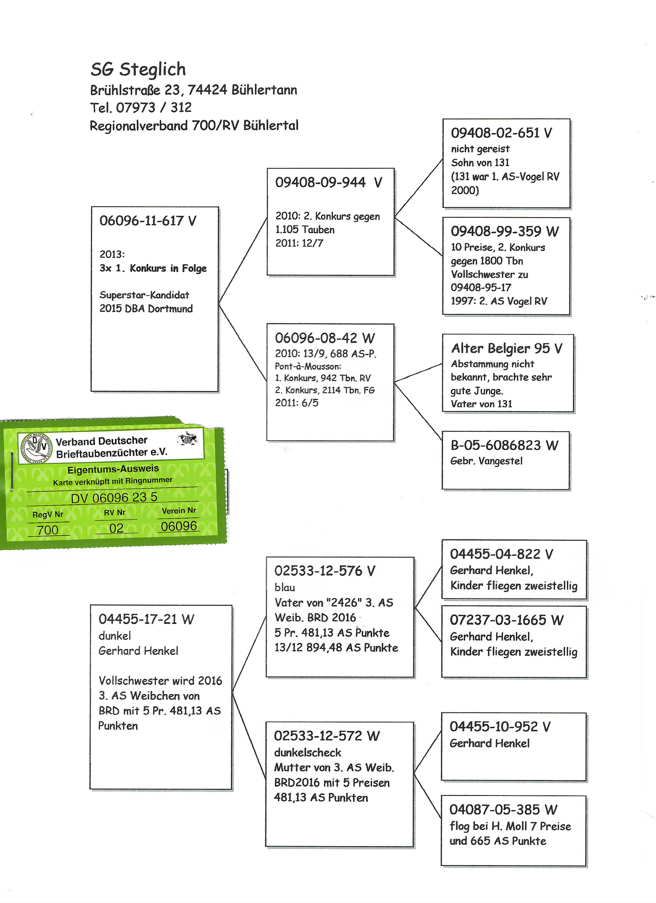 Pigeon pedigree image