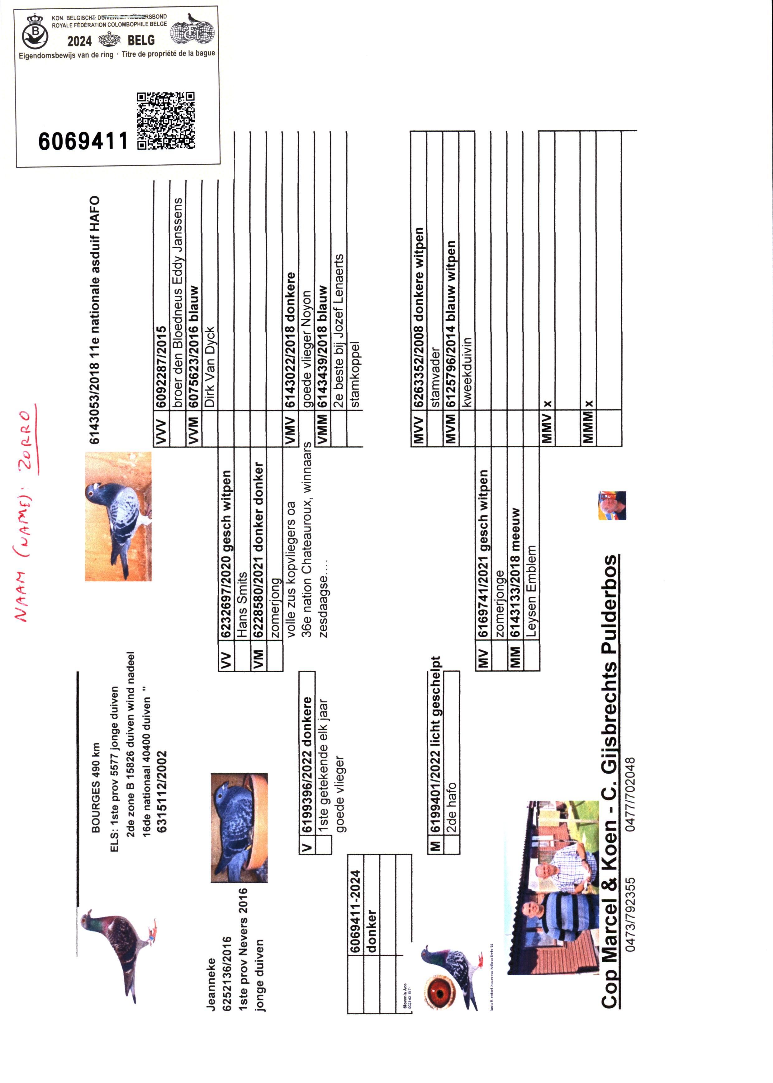 Pigeon pedigree image