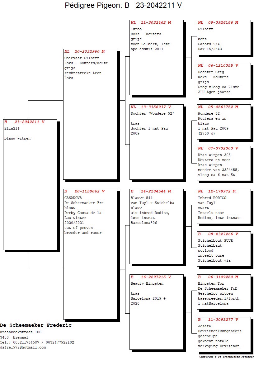 Pigeon pedigree image