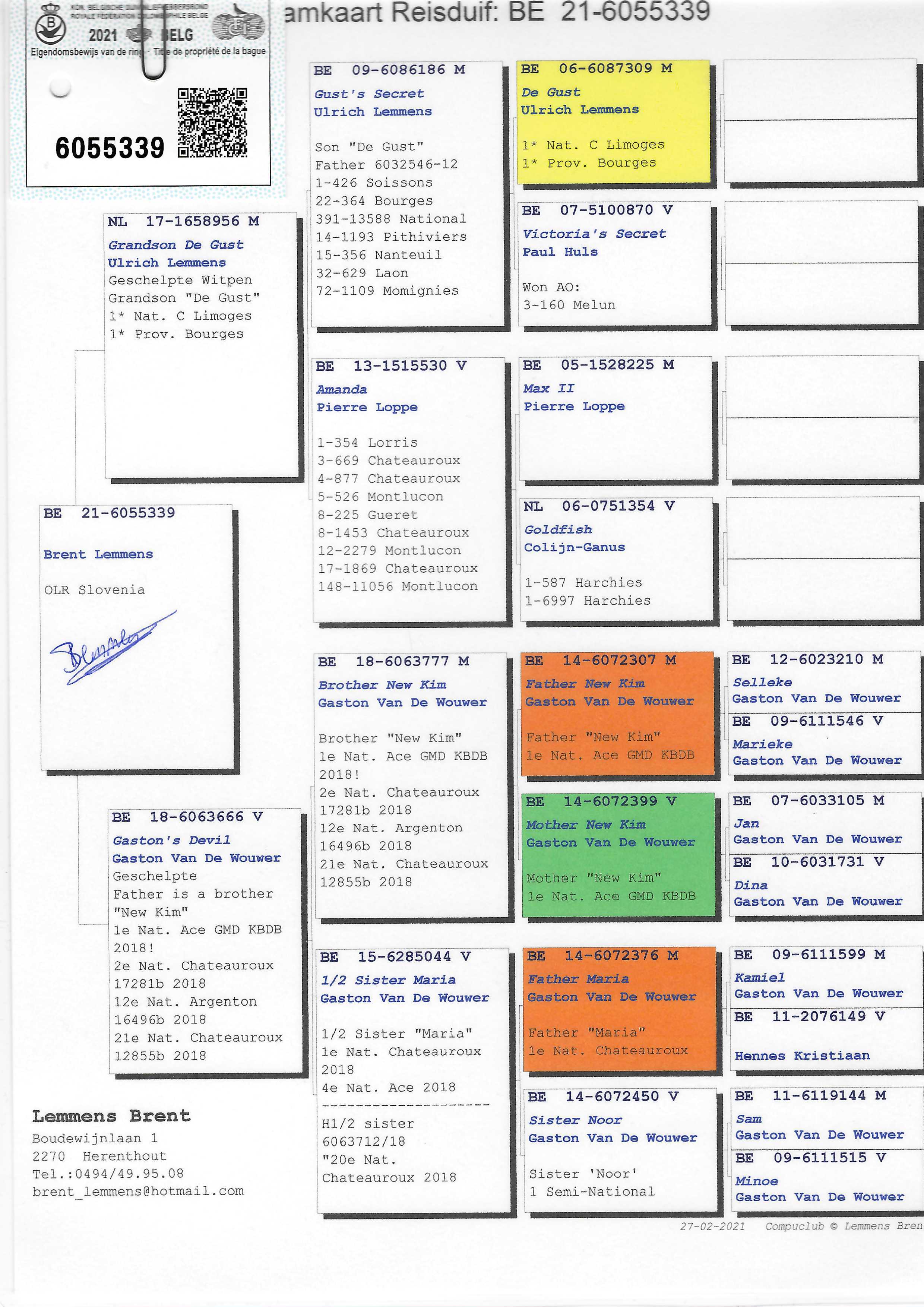 Pigeon pedigree image
