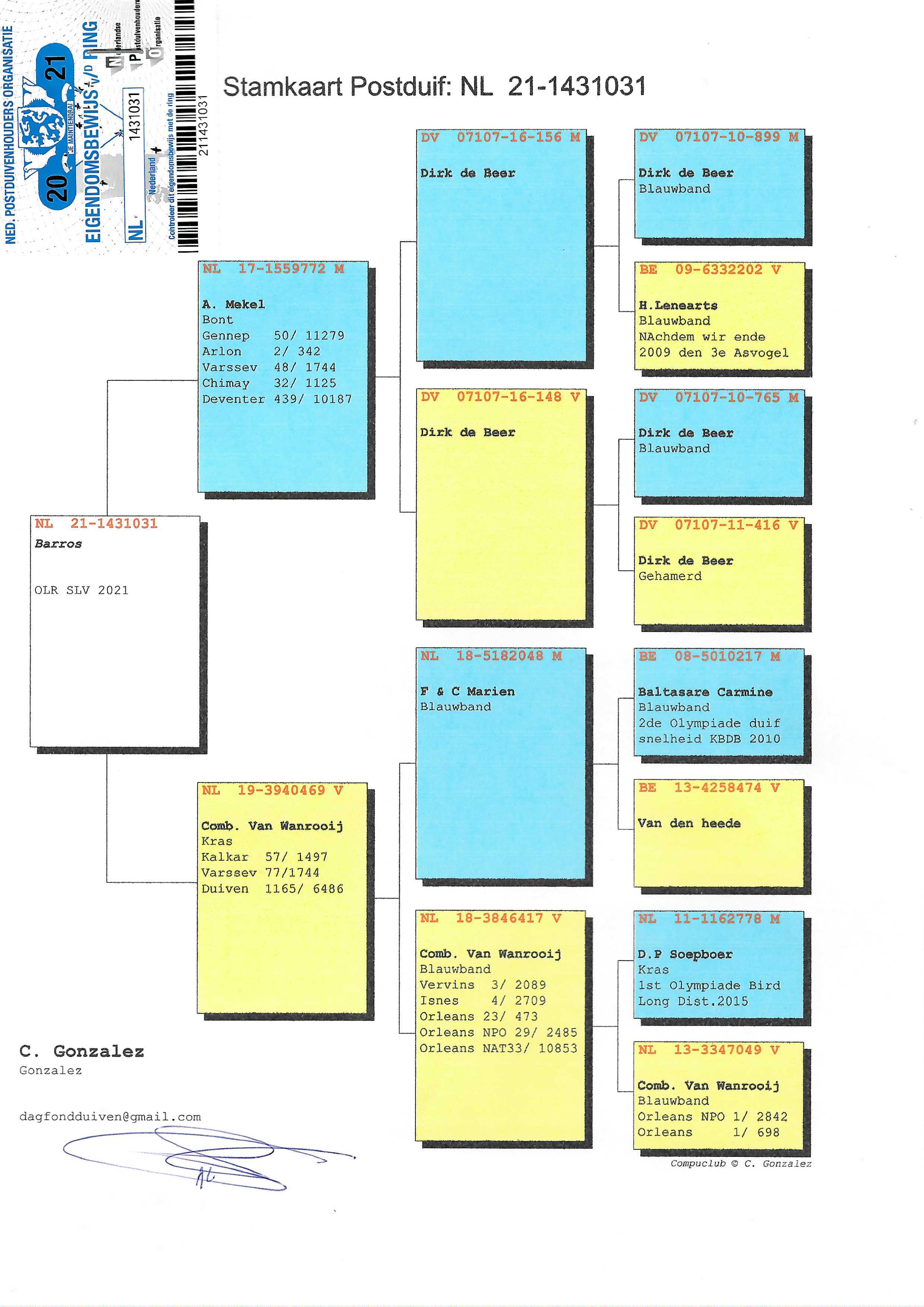 Pigeon pedigree image