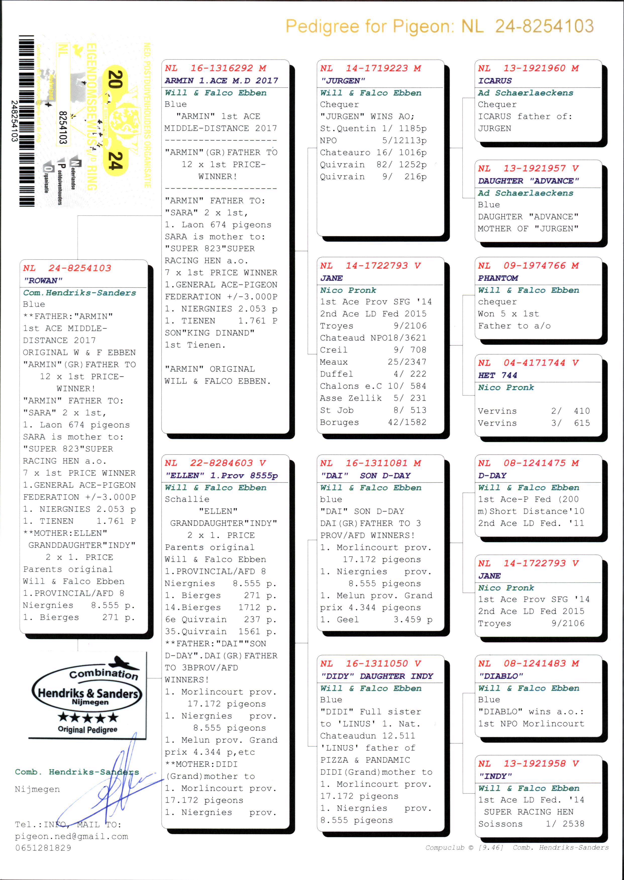 Pigeon pedigree image