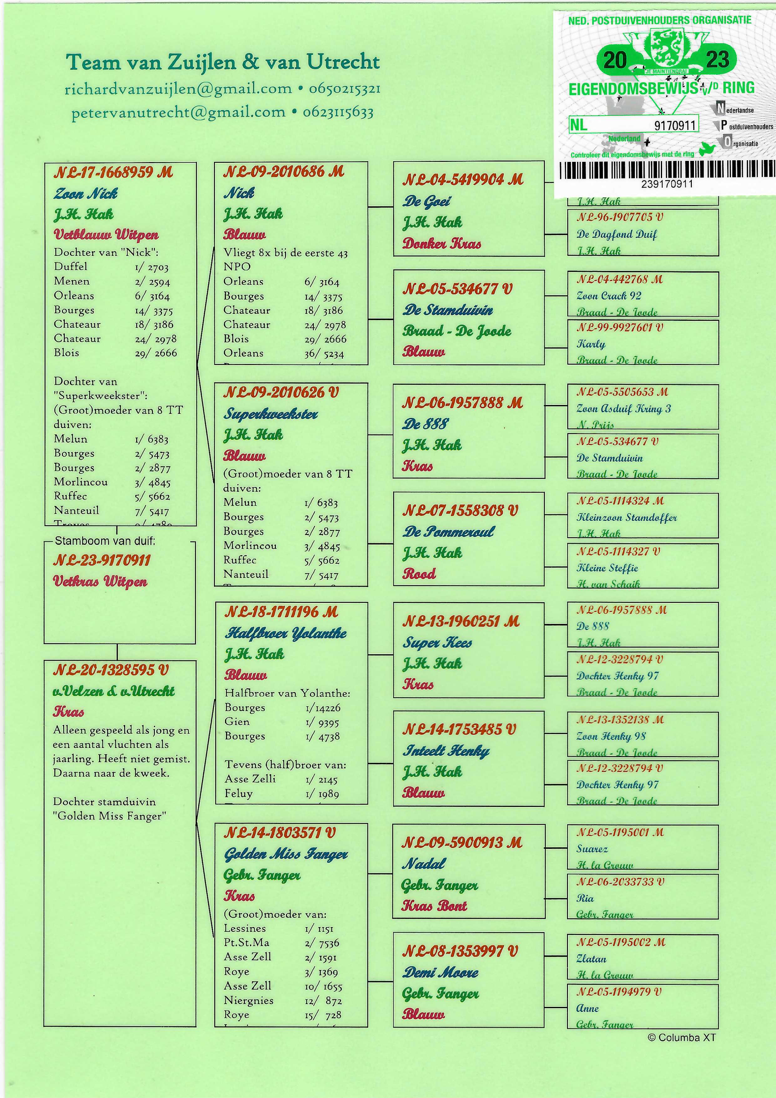 Pigeon pedigree image