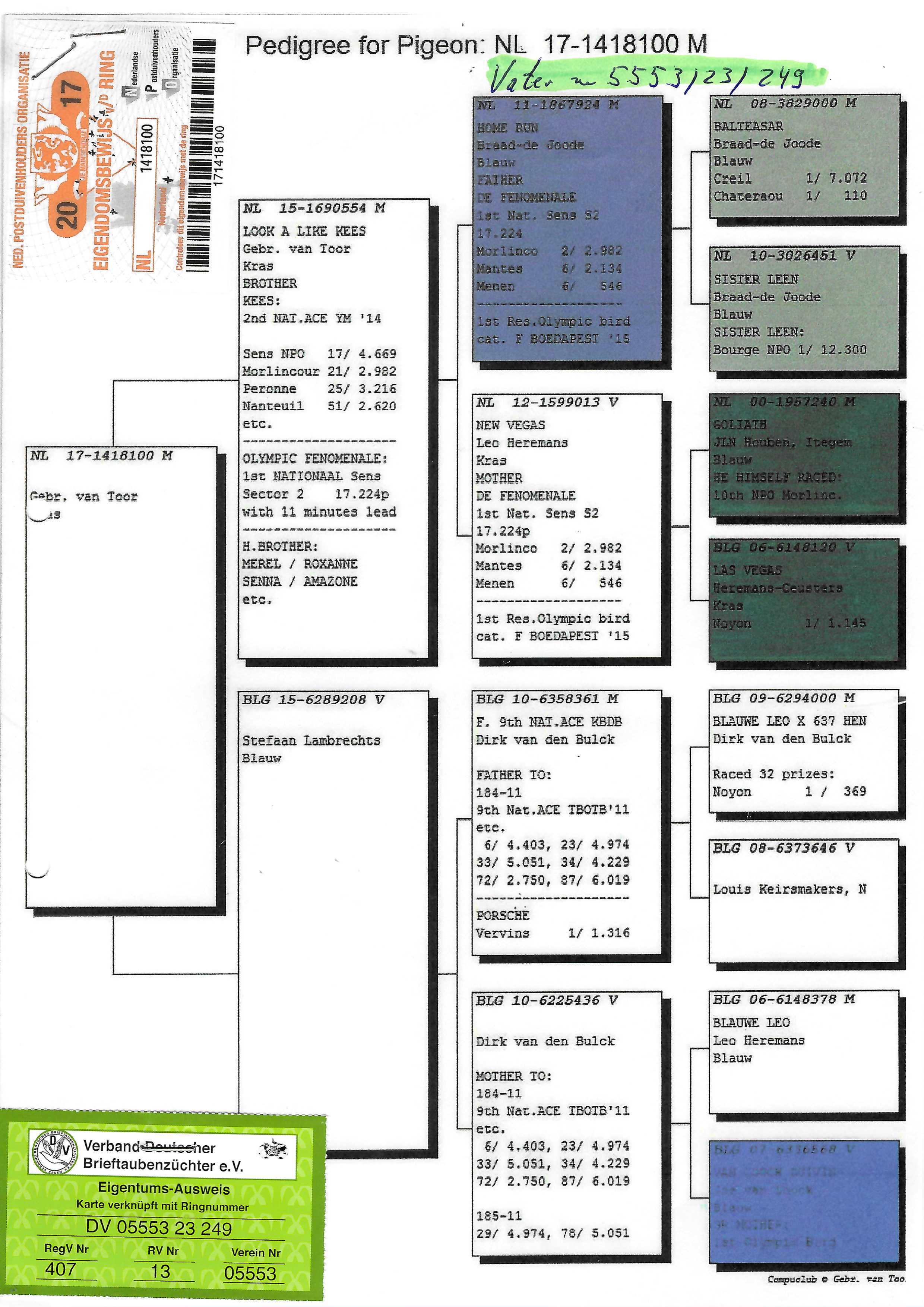 Pigeon pedigree image