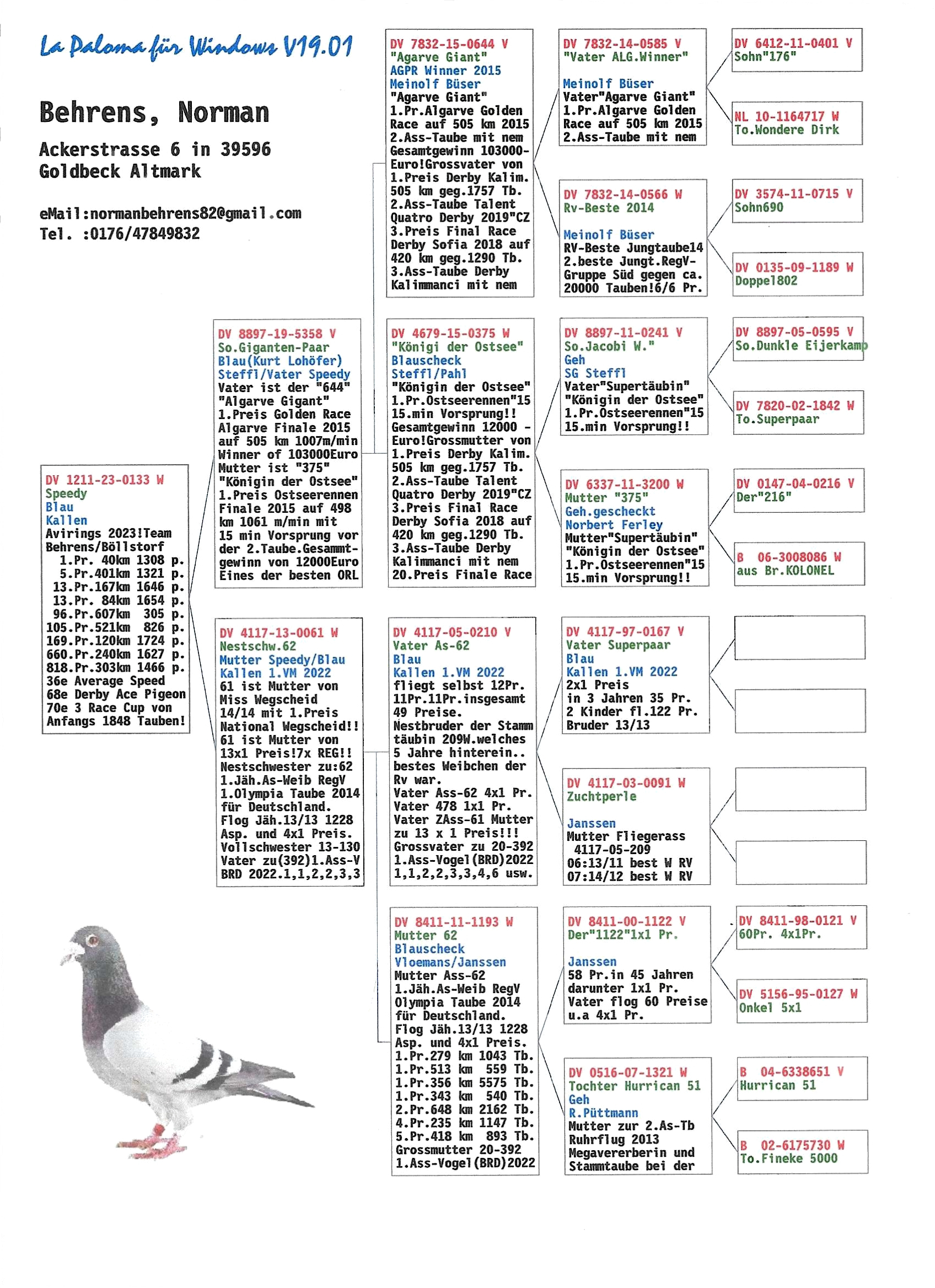 Pigeon pedigree image
