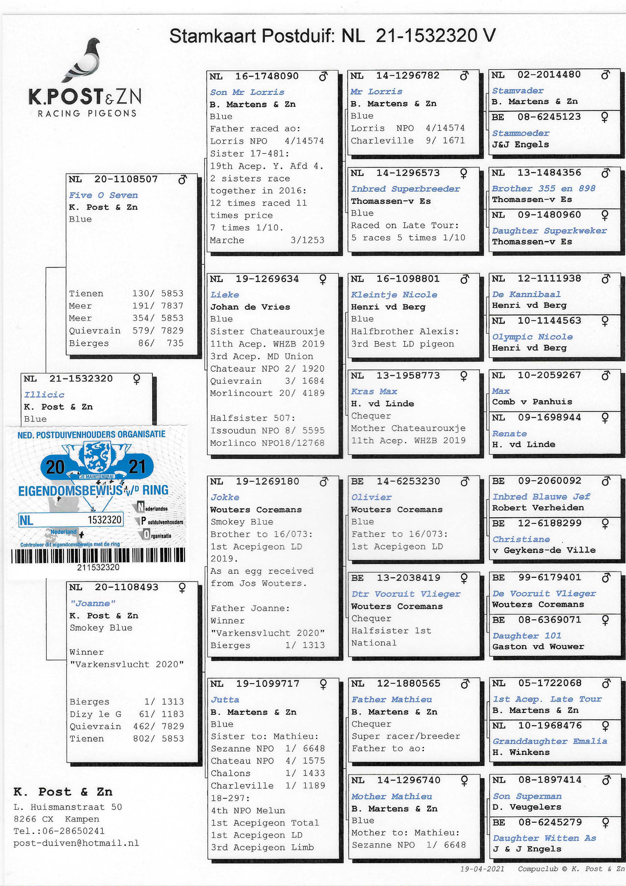 Pigeon pedigree image