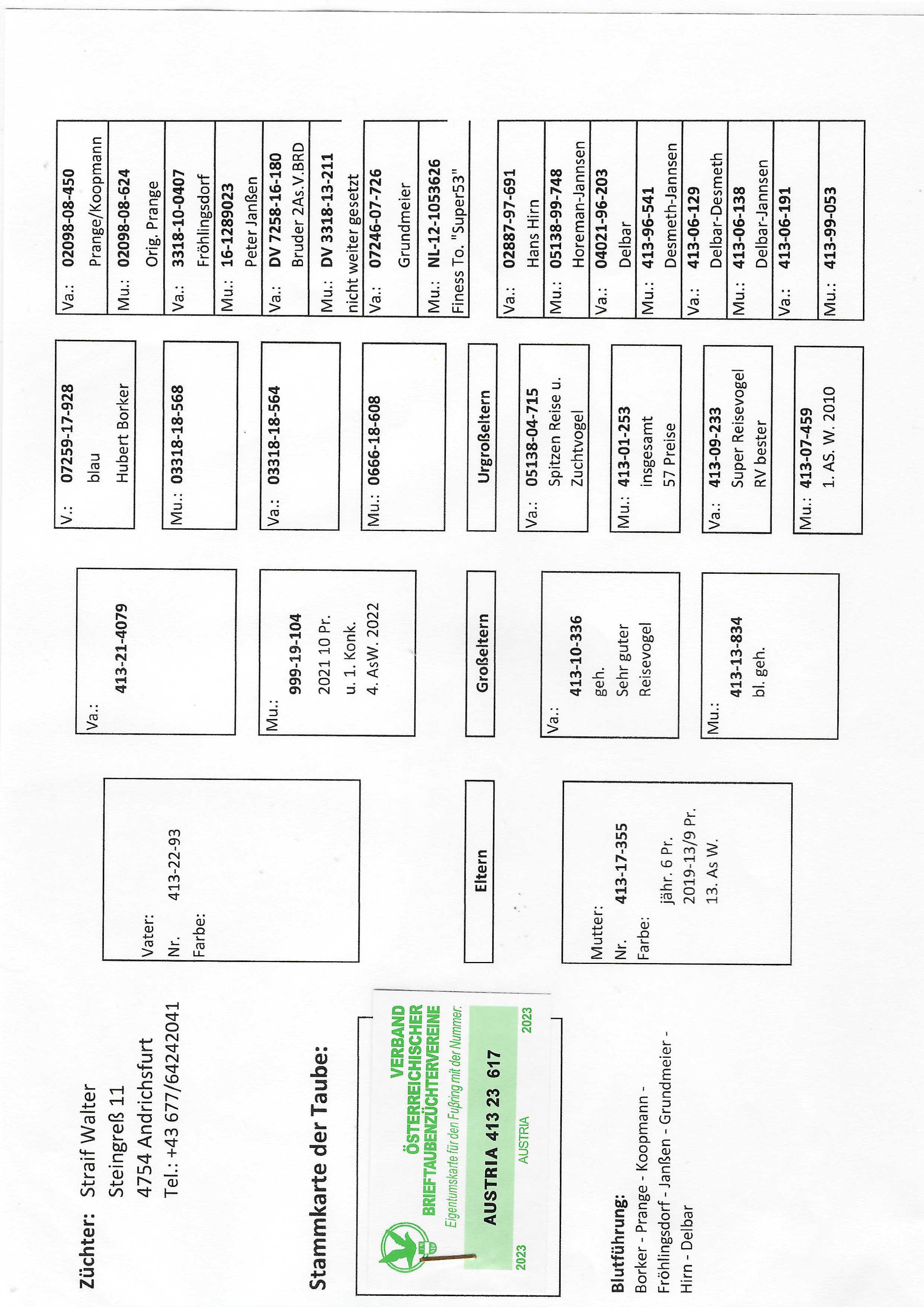 Pigeon pedigree image