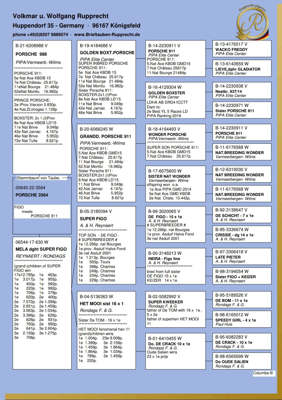 Pigeon pedigree image
