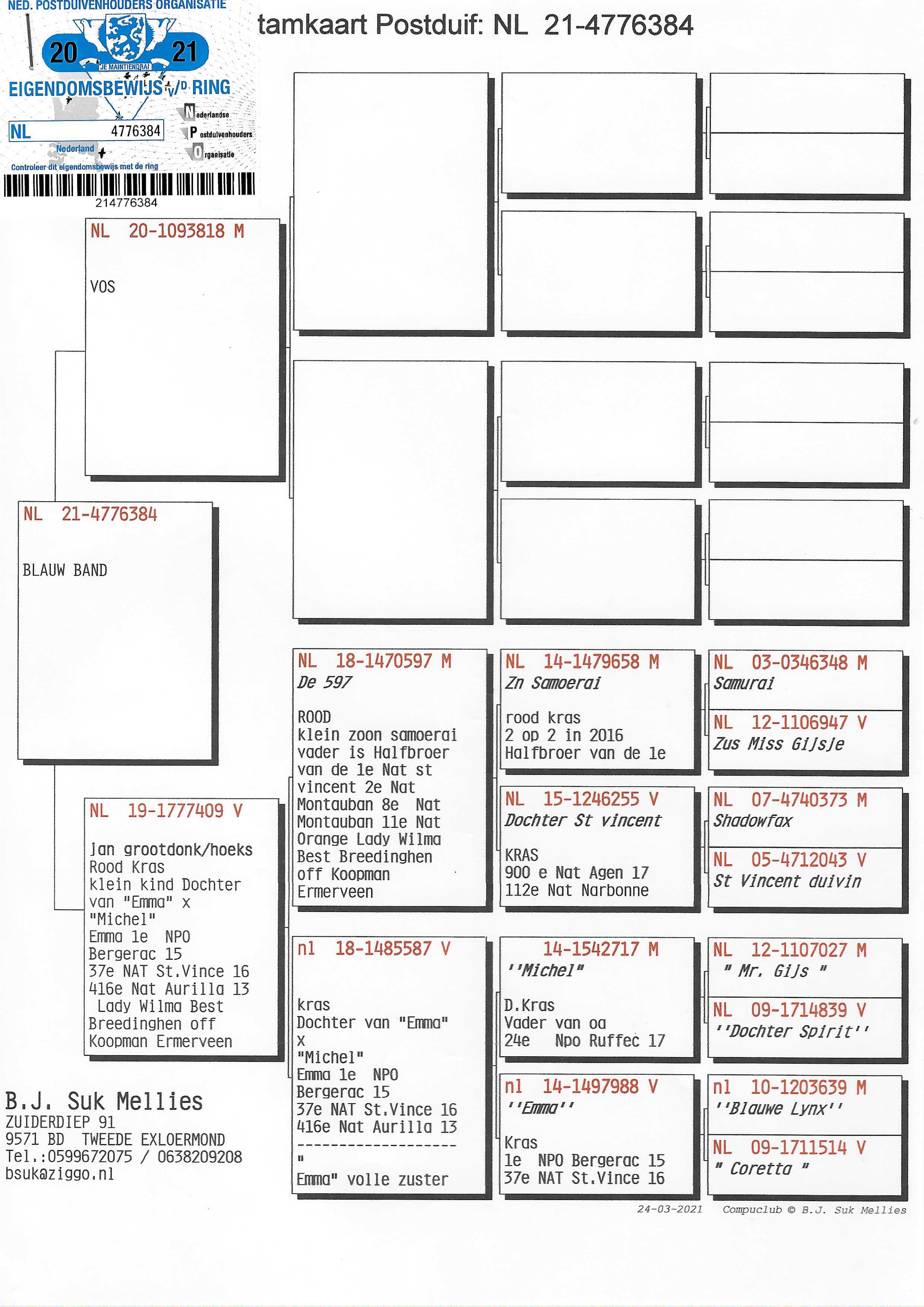 Pigeon pedigree image