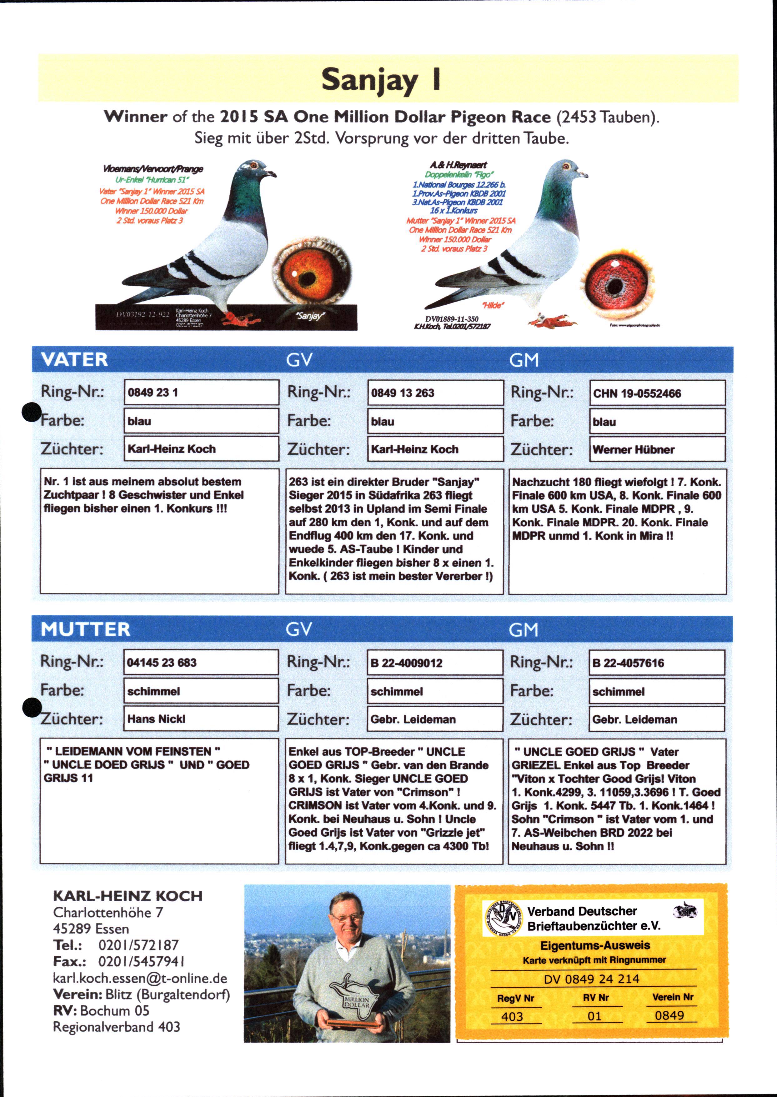 Pigeon pedigree image