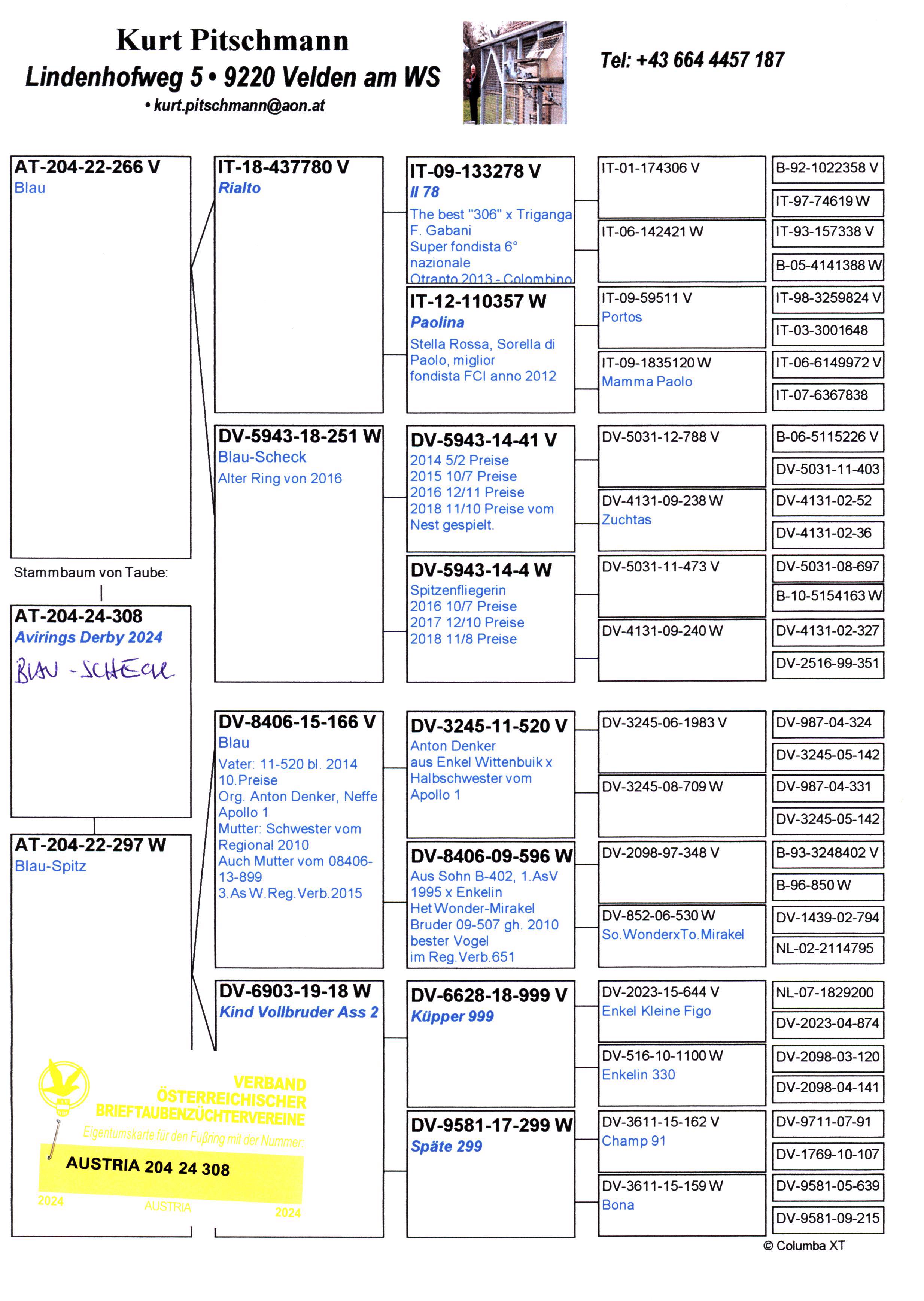 Pigeon pedigree image