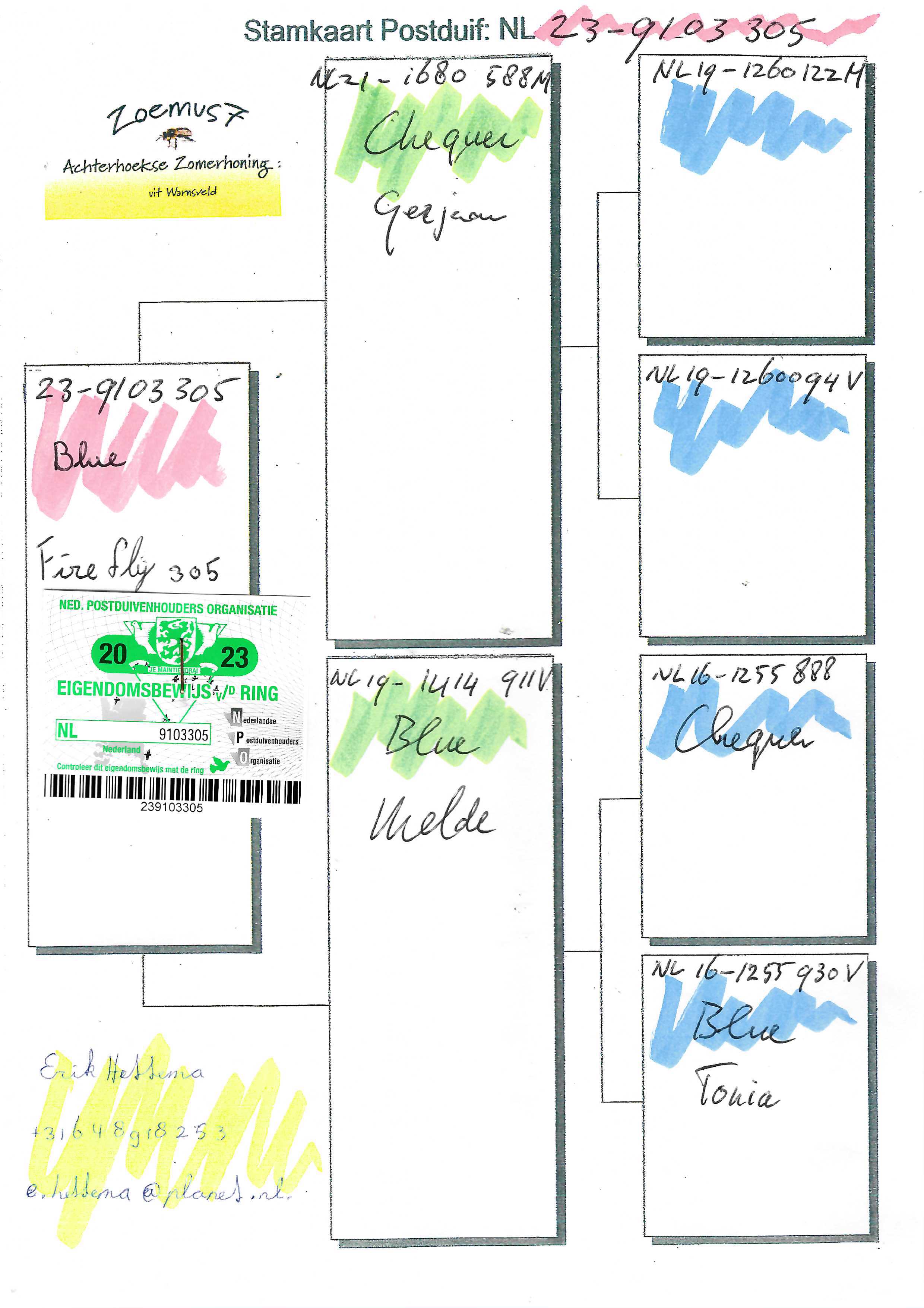 Pigeon pedigree image