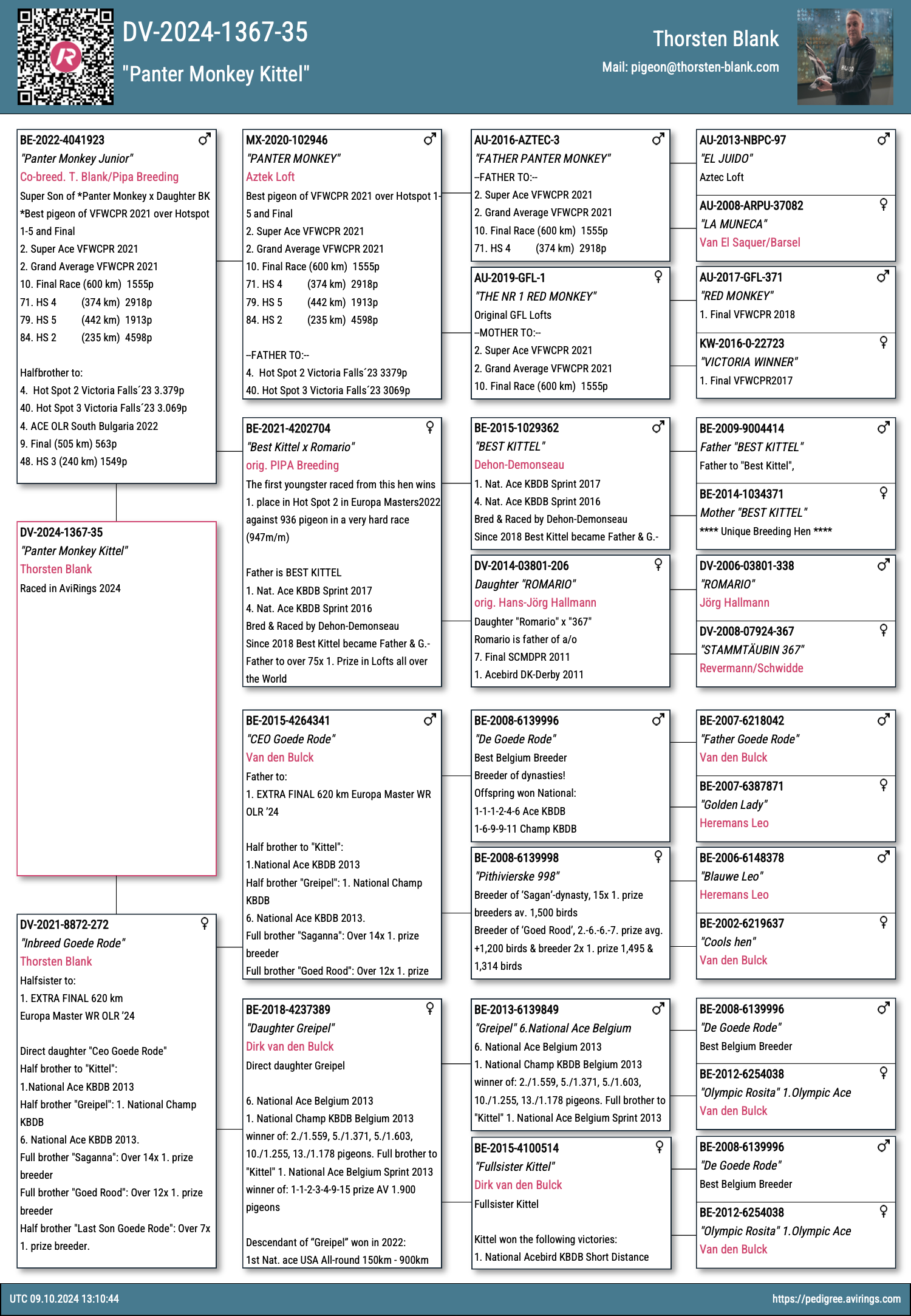 Pigeon pedigree image