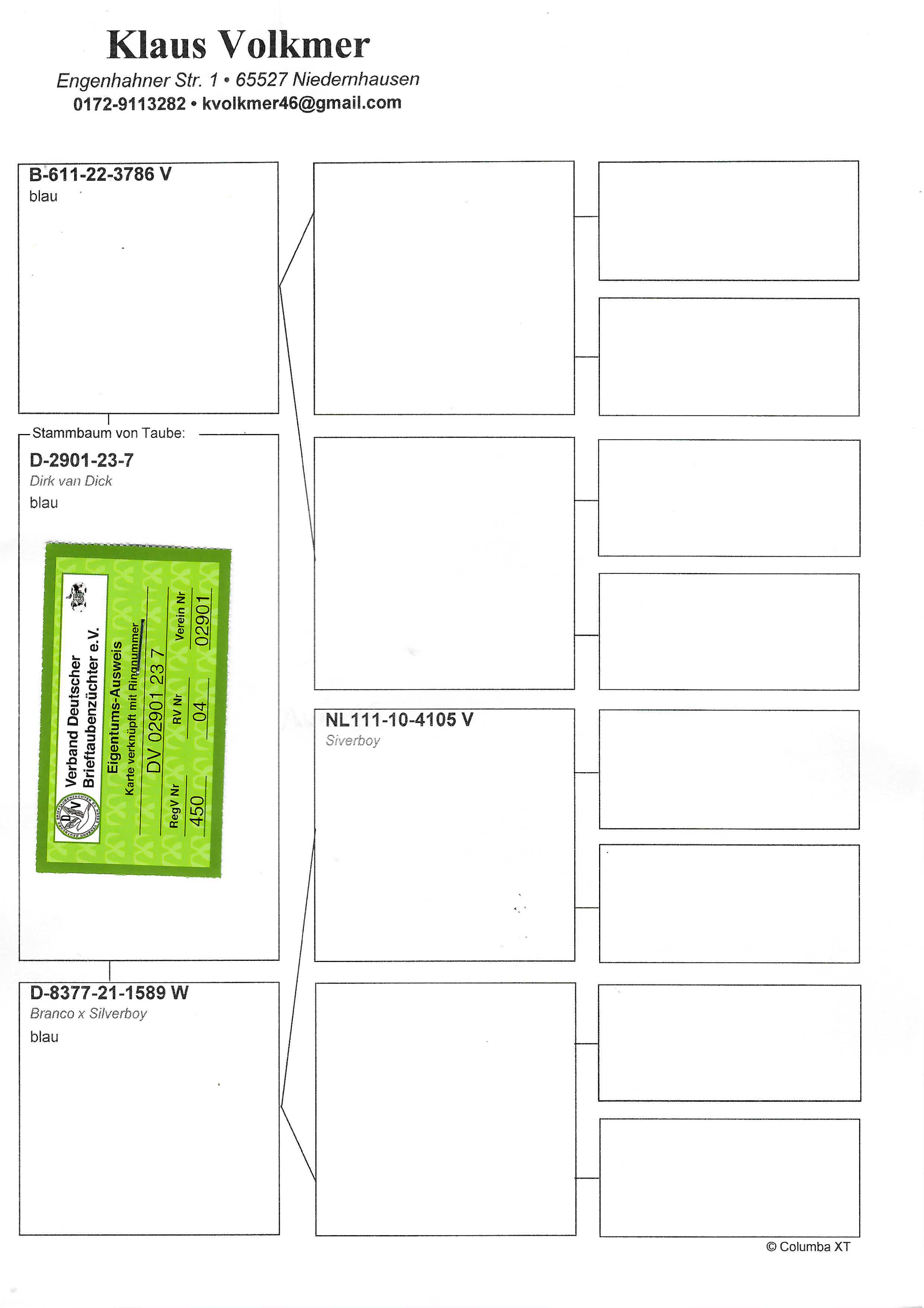 Pigeon pedigree image