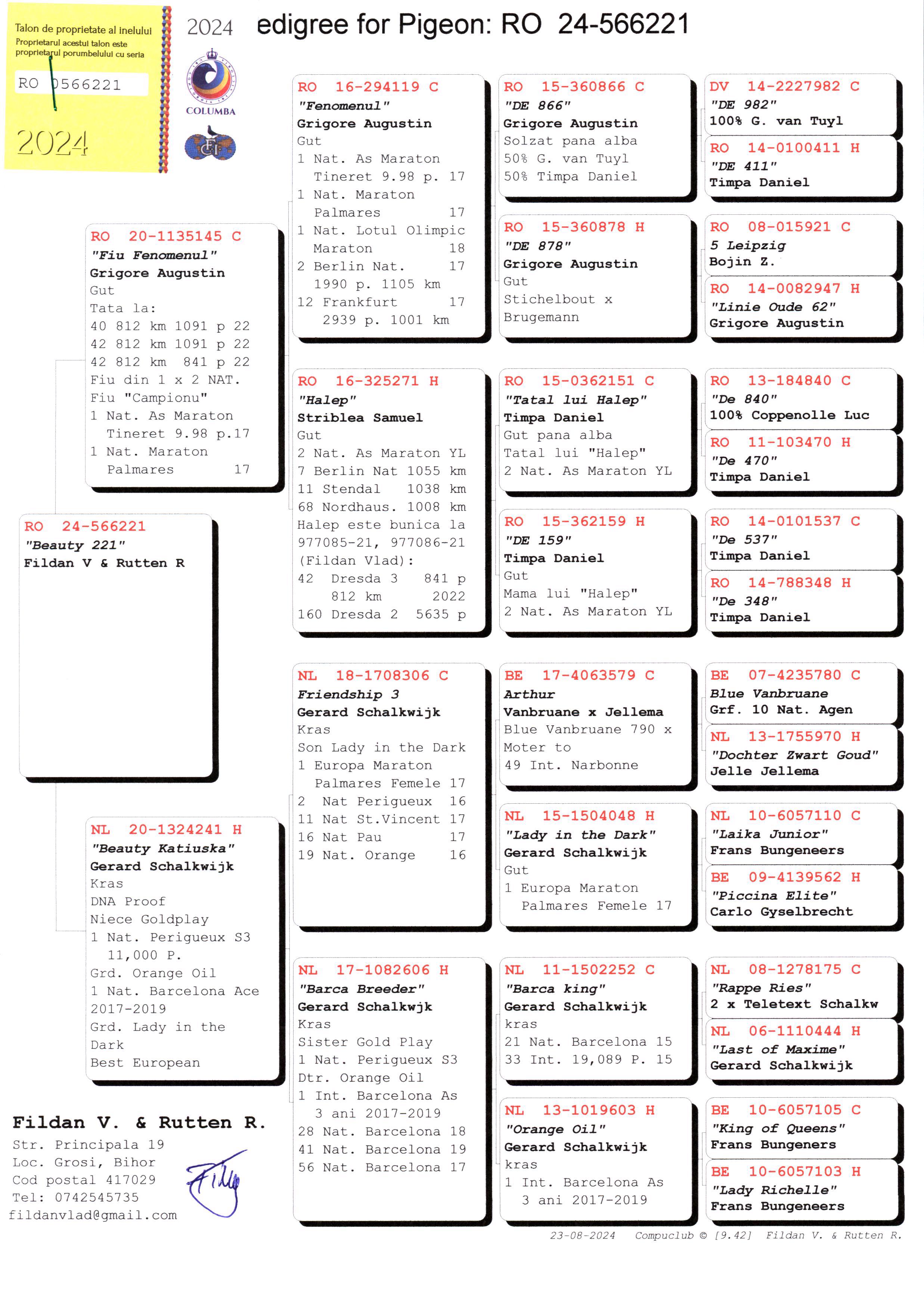 Pigeon pedigree image