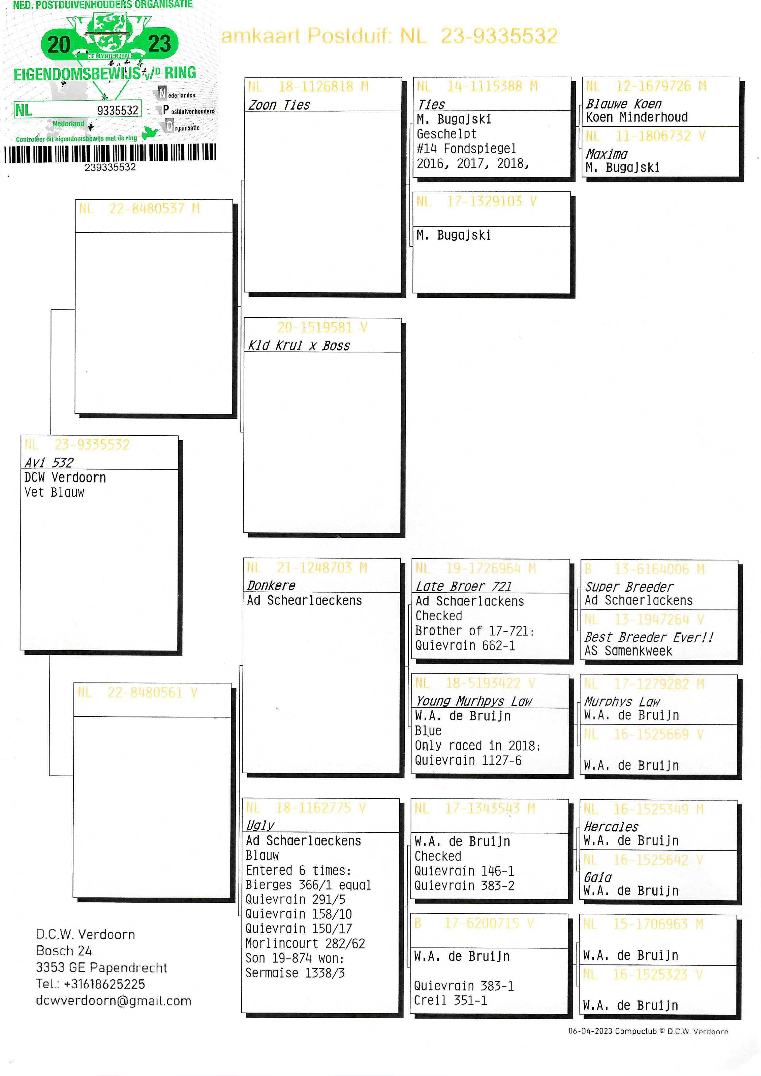 Pigeon pedigree image