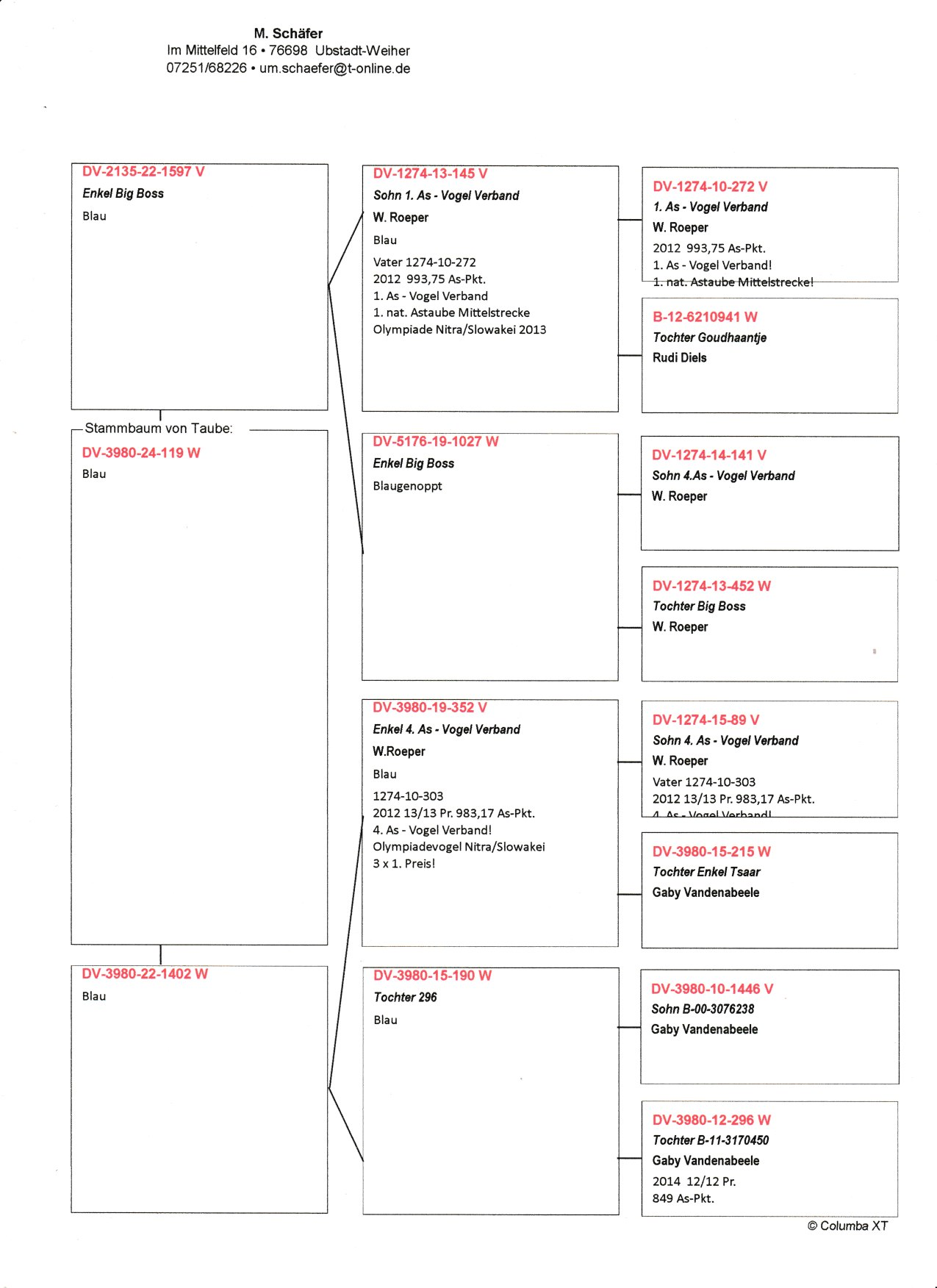 Pigeon pedigree image