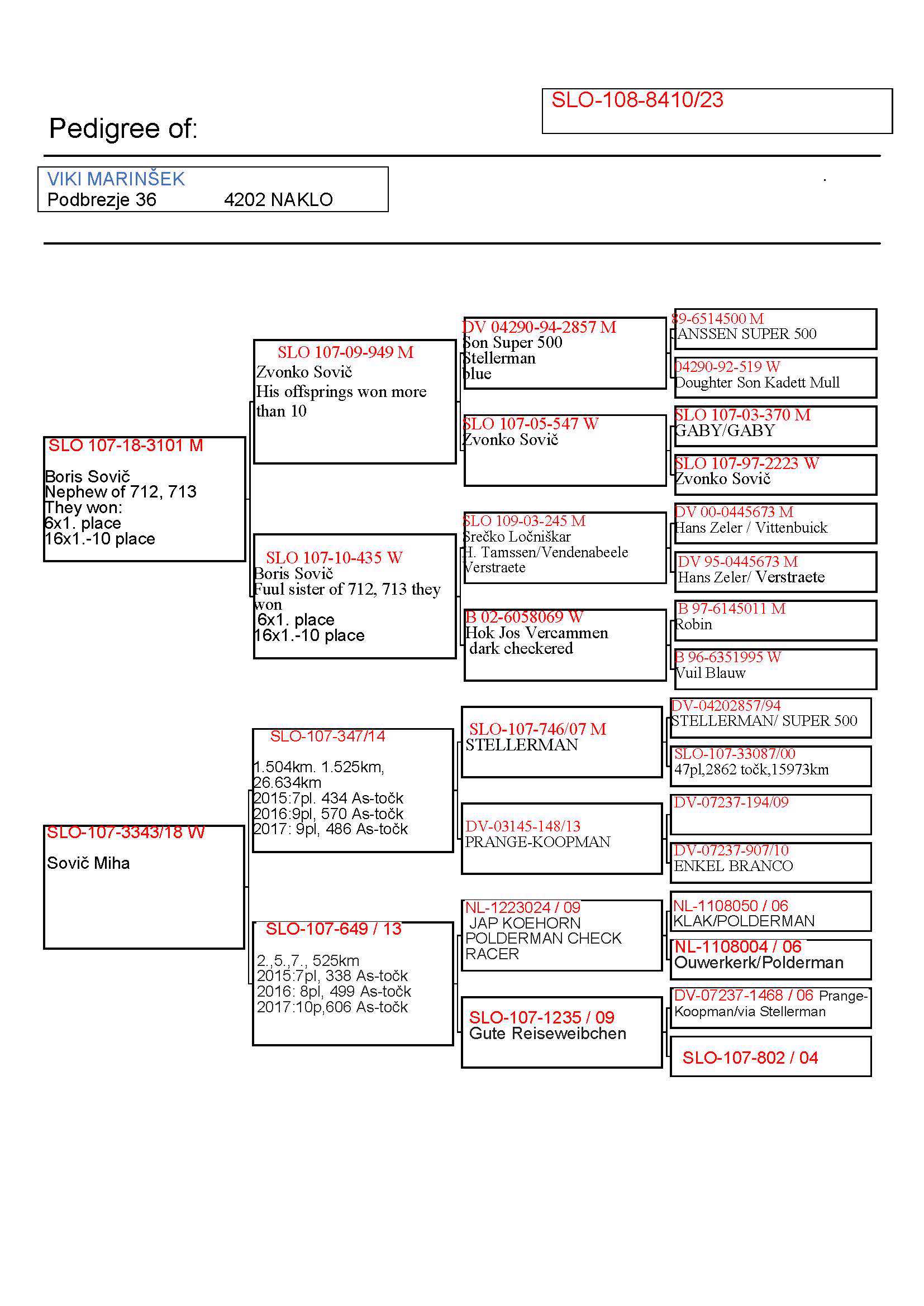 Pigeon pedigree image