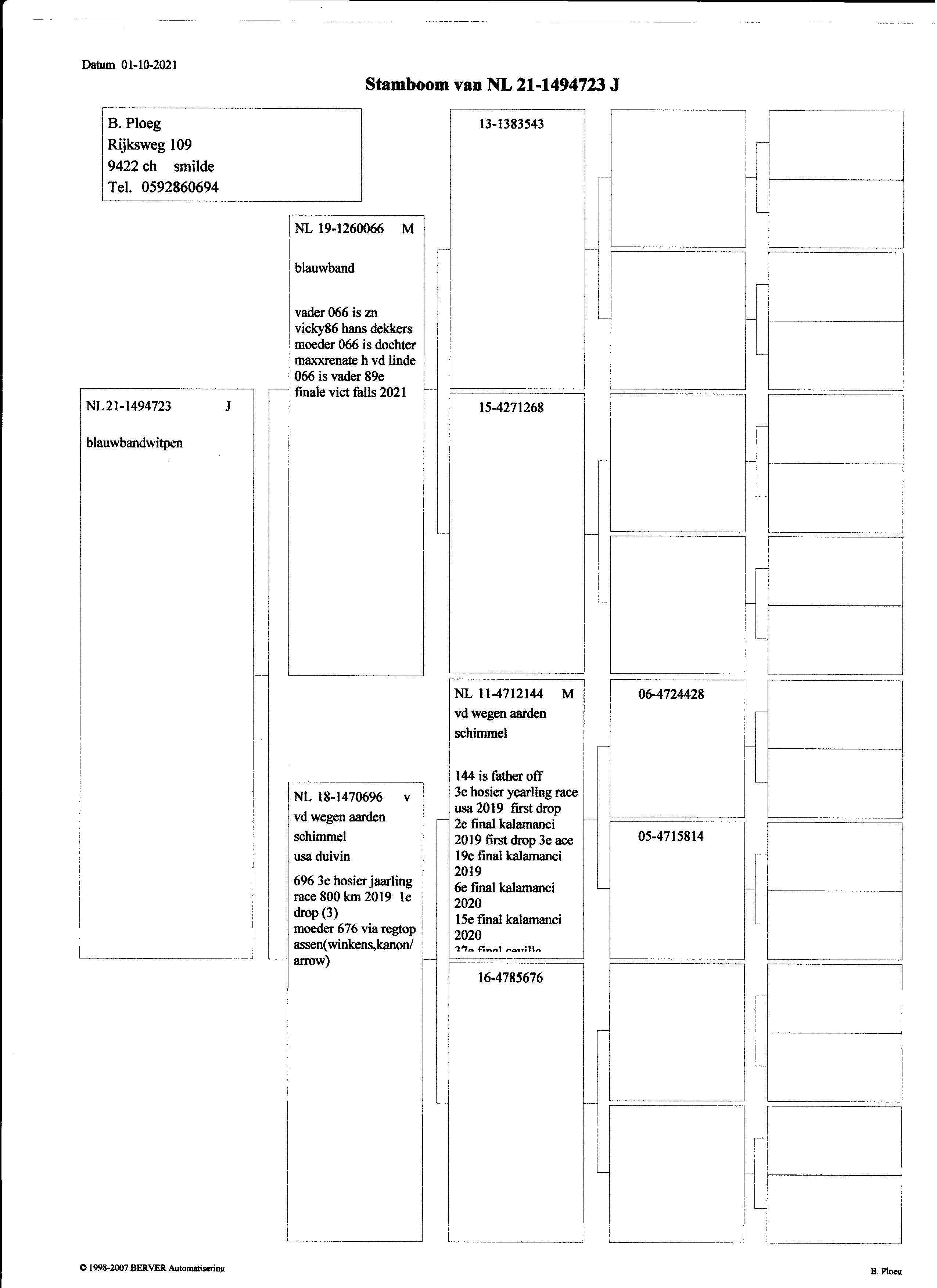Pigeon pedigree image