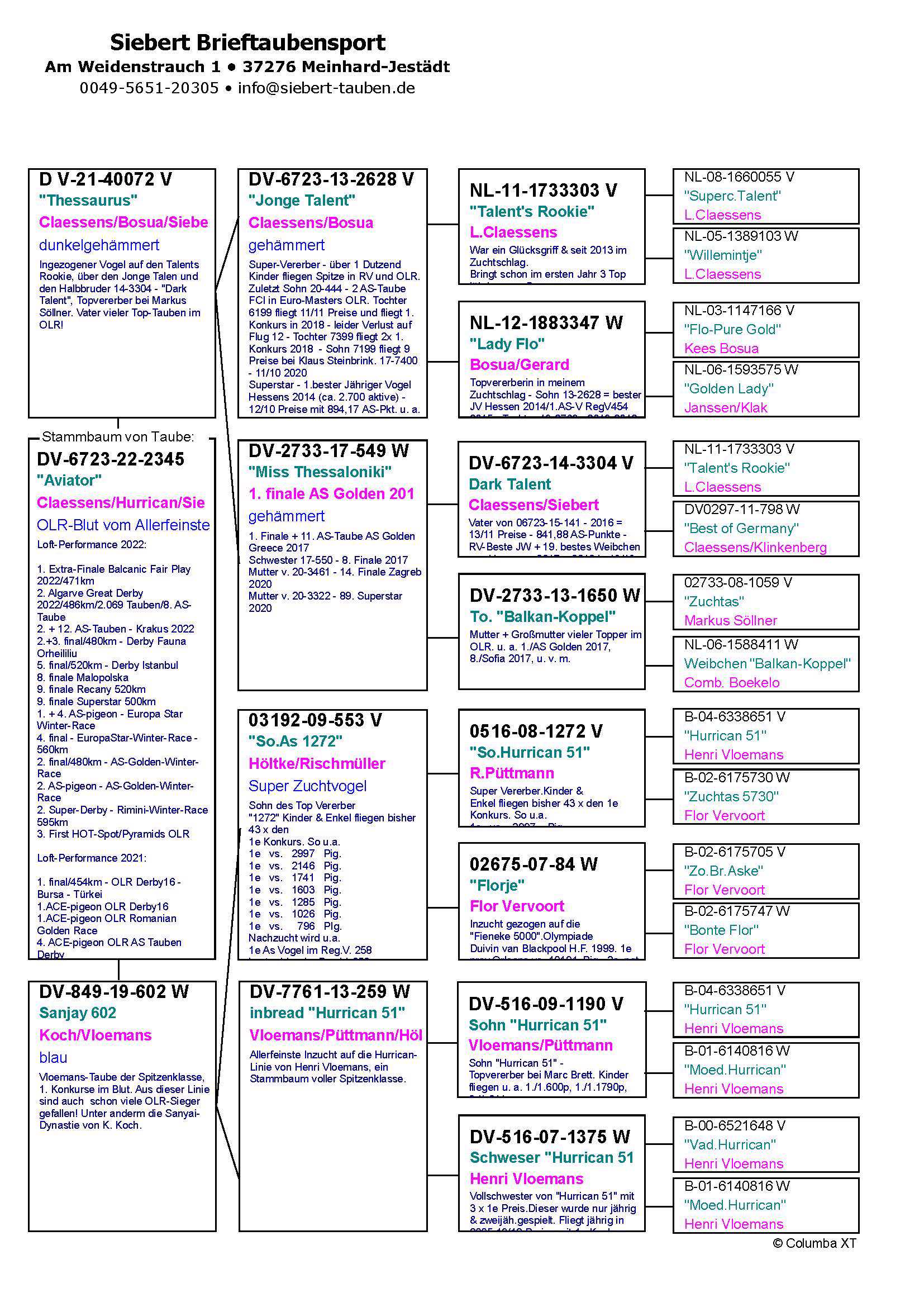 Pigeon pedigree image