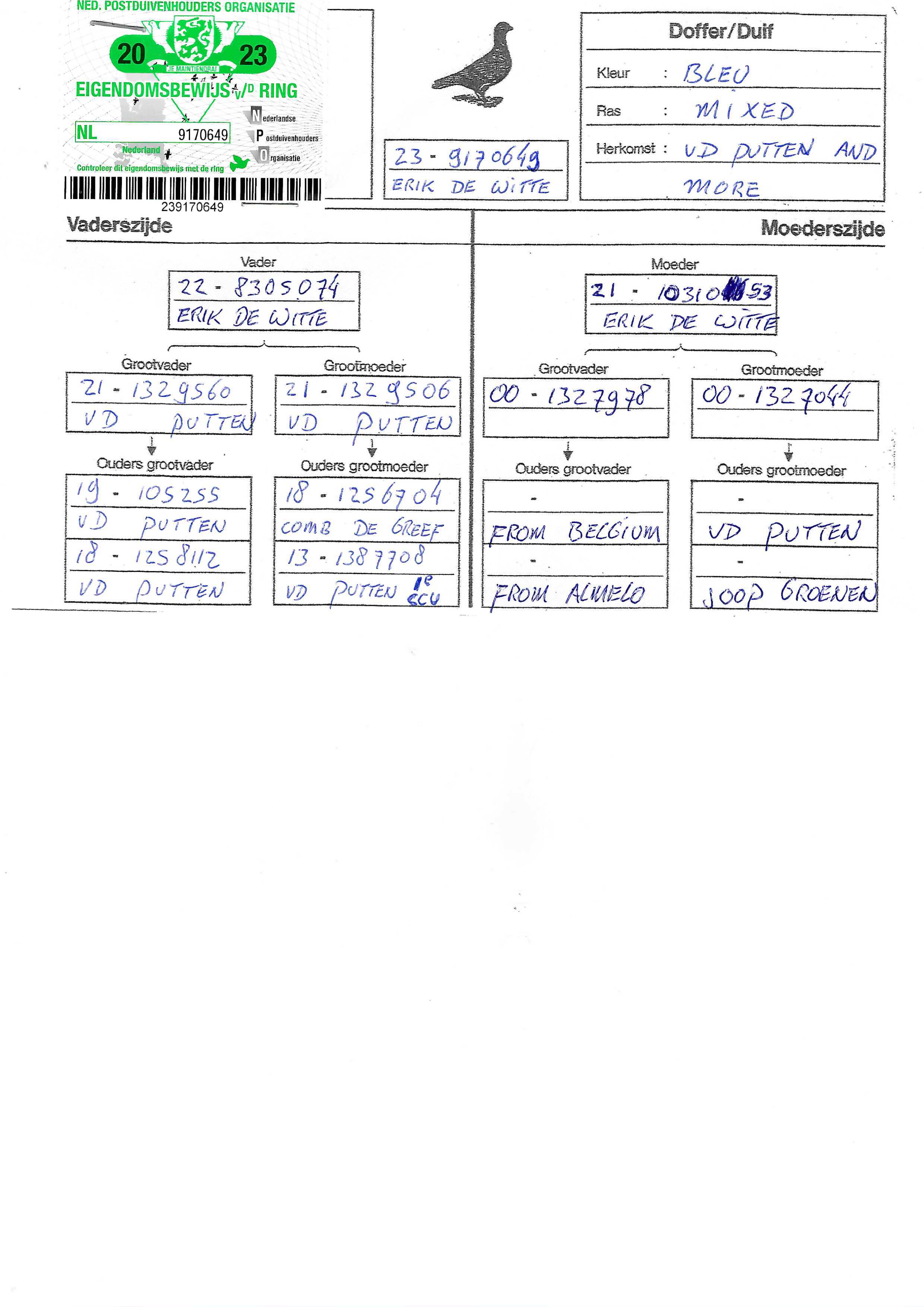 Pigeon pedigree image