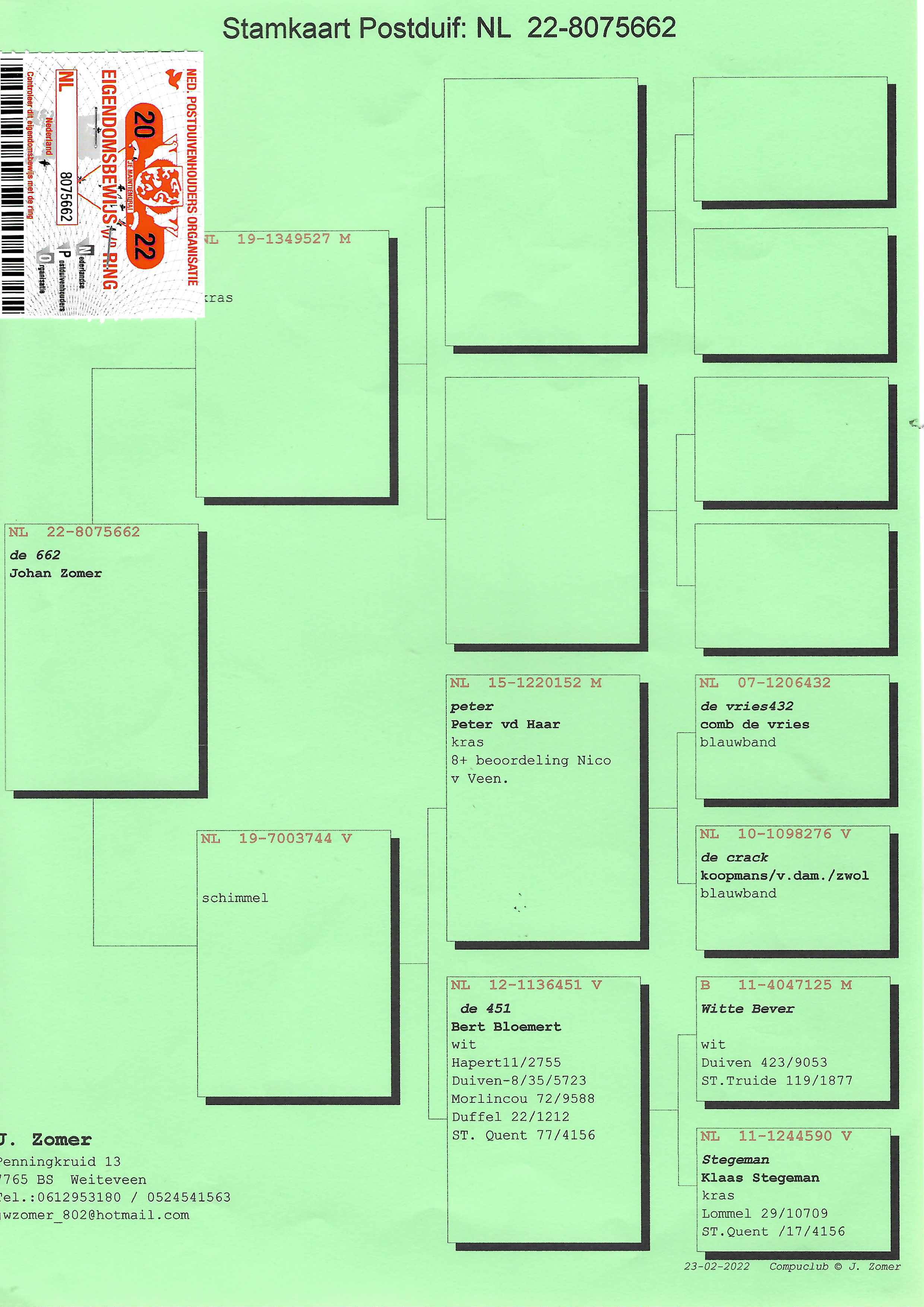 Pigeon pedigree image