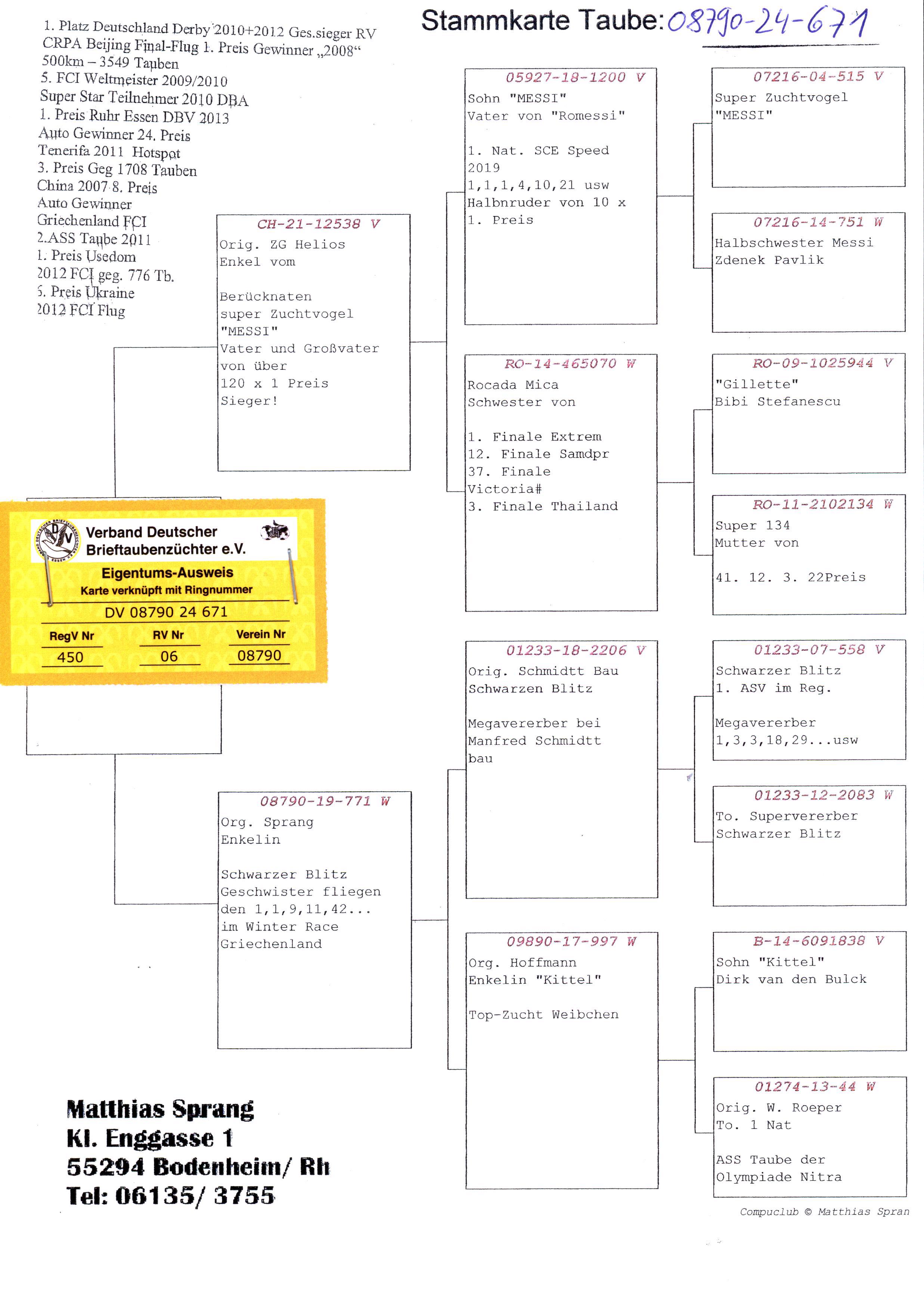 Pigeon pedigree image