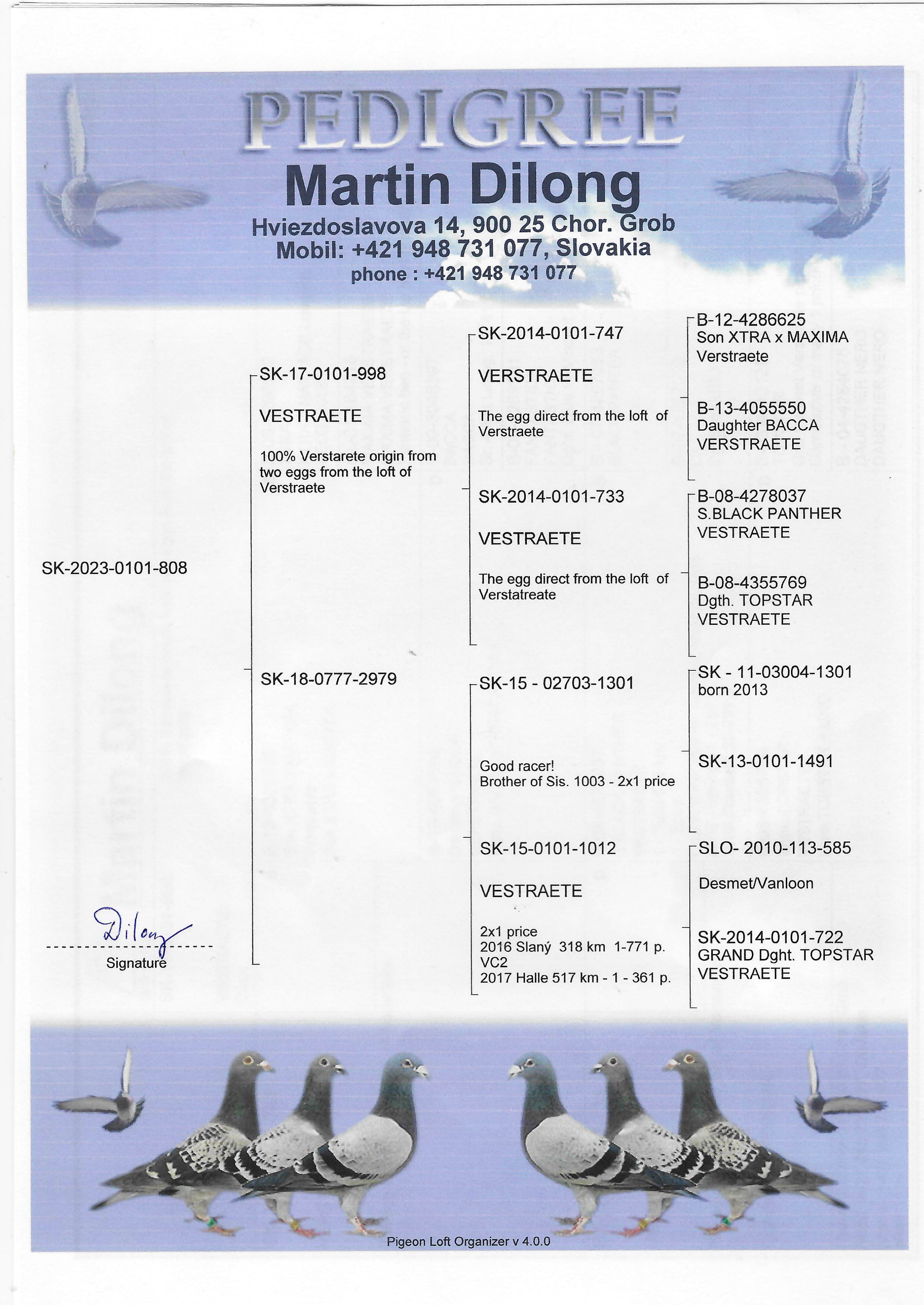 Pigeon pedigree image