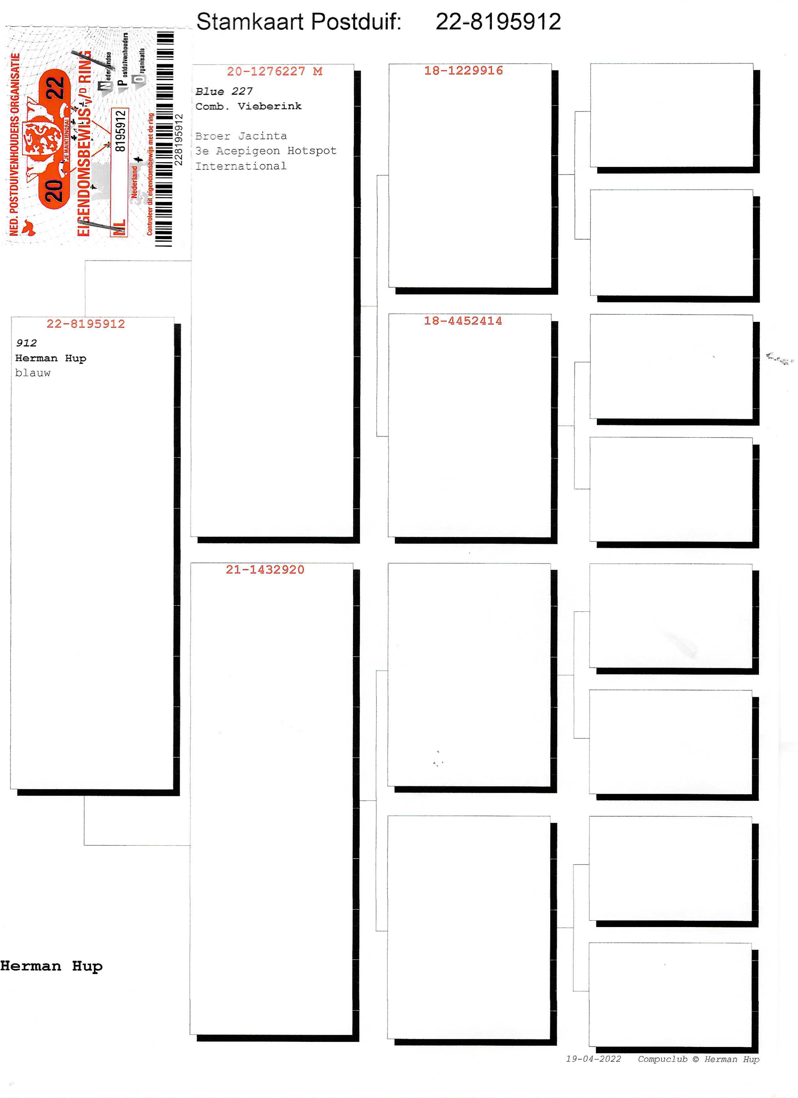 Pigeon pedigree image