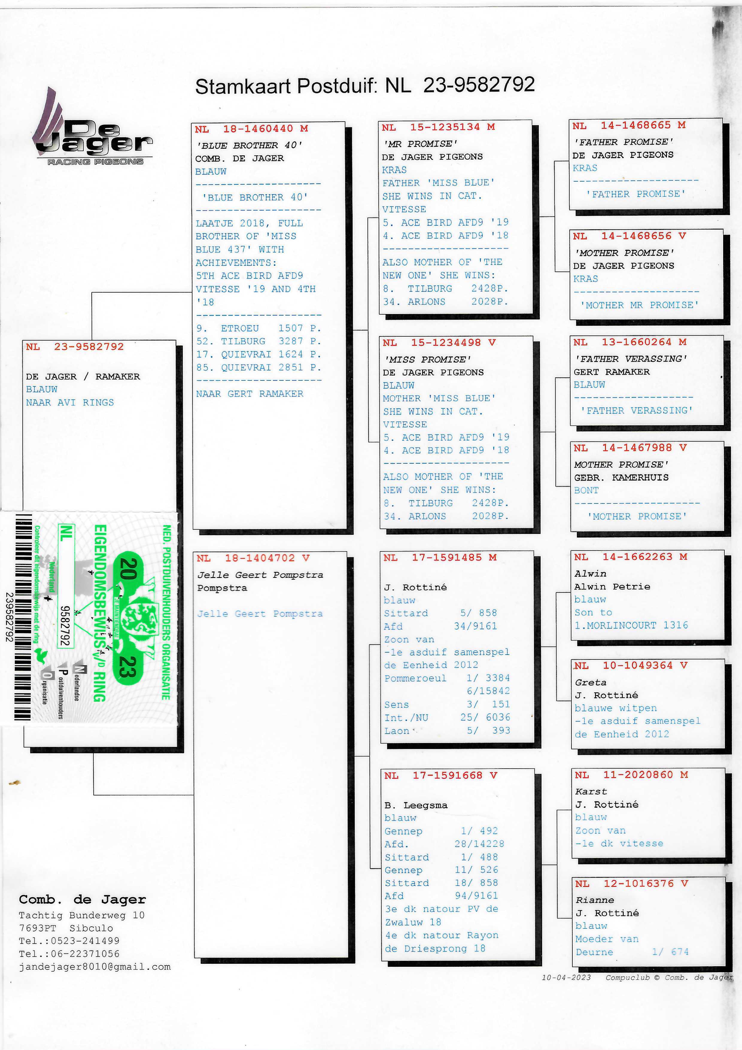 Pigeon pedigree image