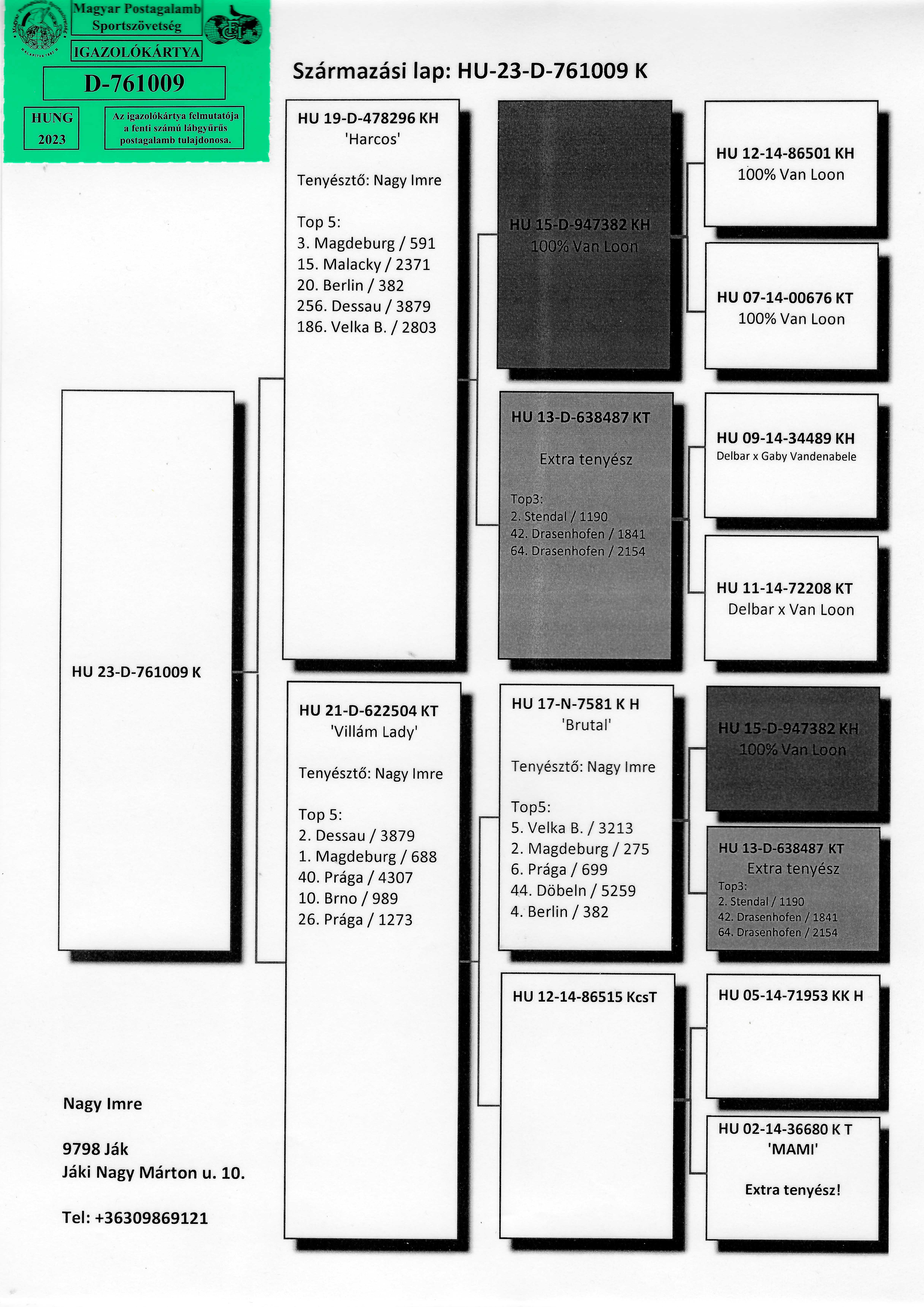 Pigeon pedigree image
