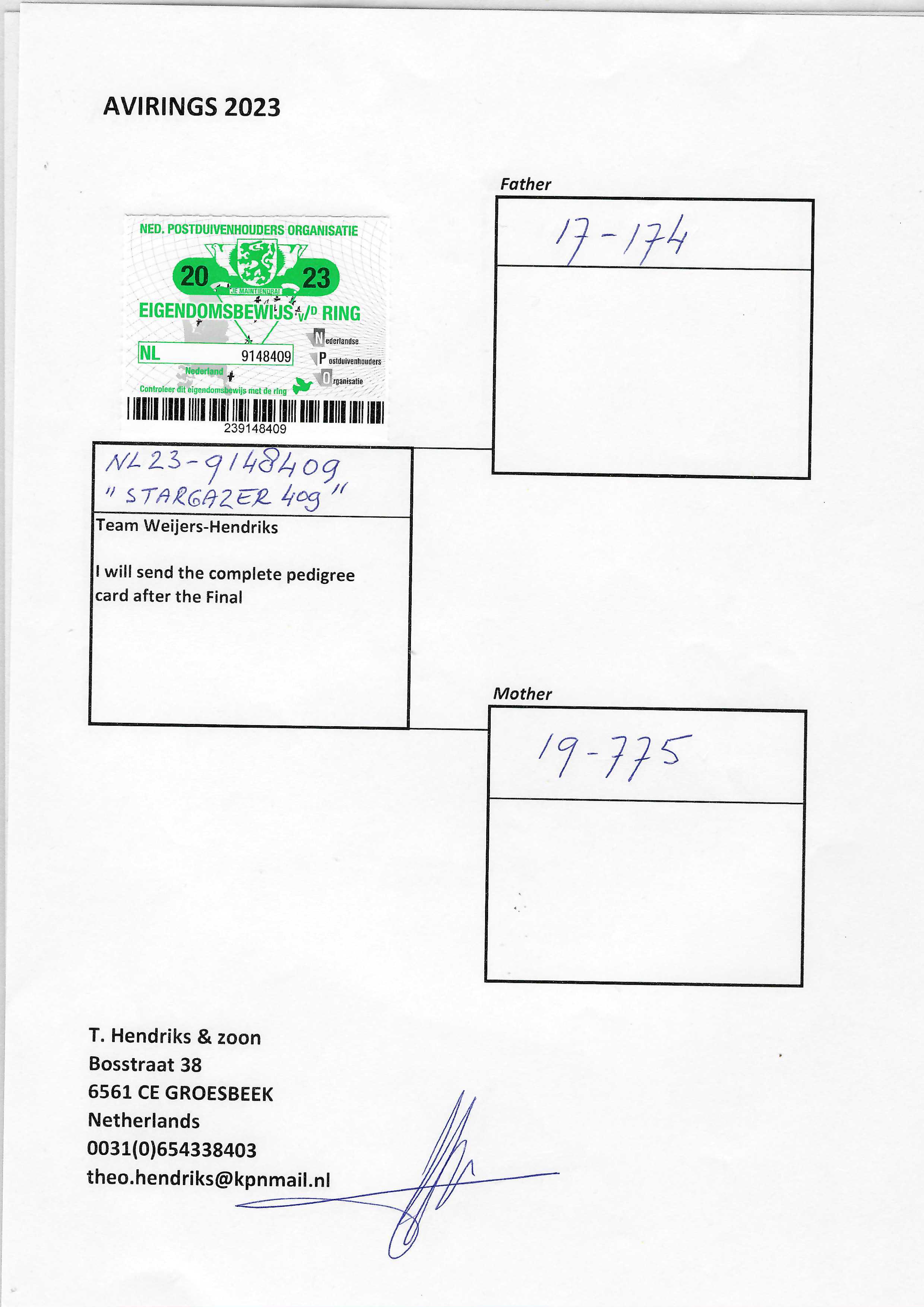 Pigeon pedigree image