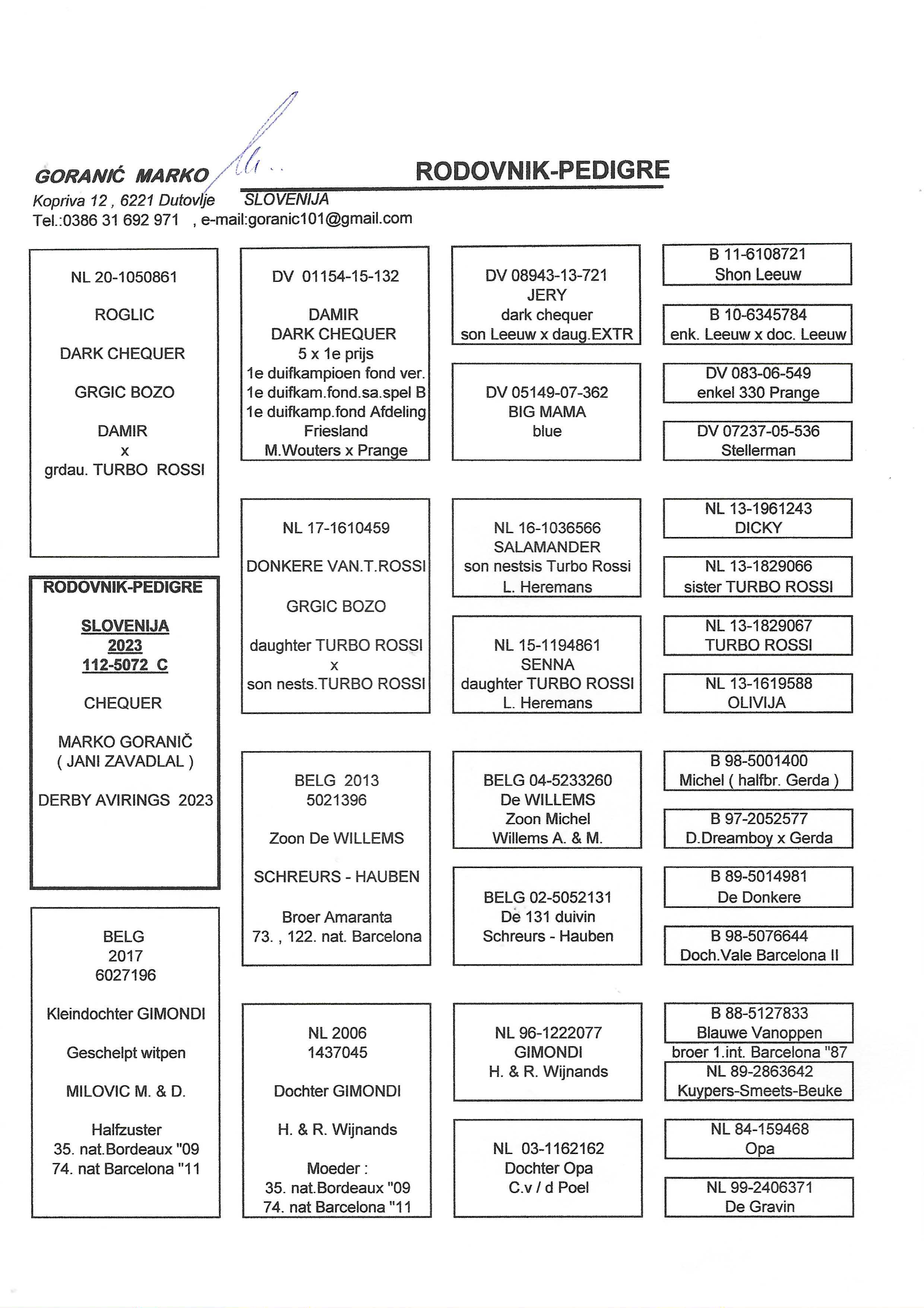 Pigeon pedigree image