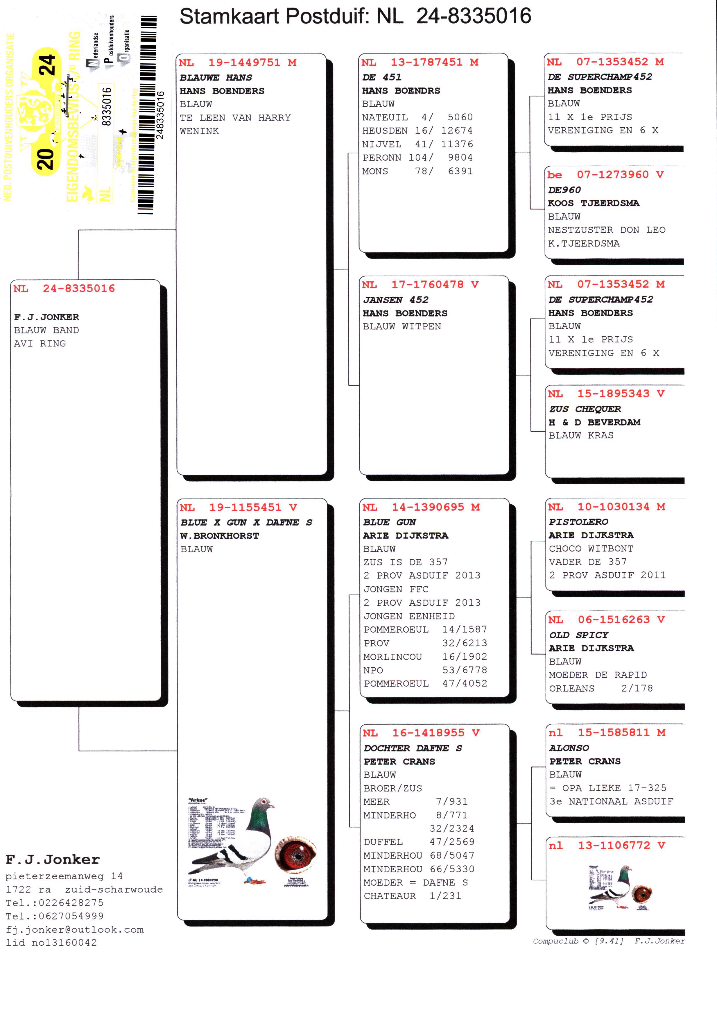 Pigeon pedigree image